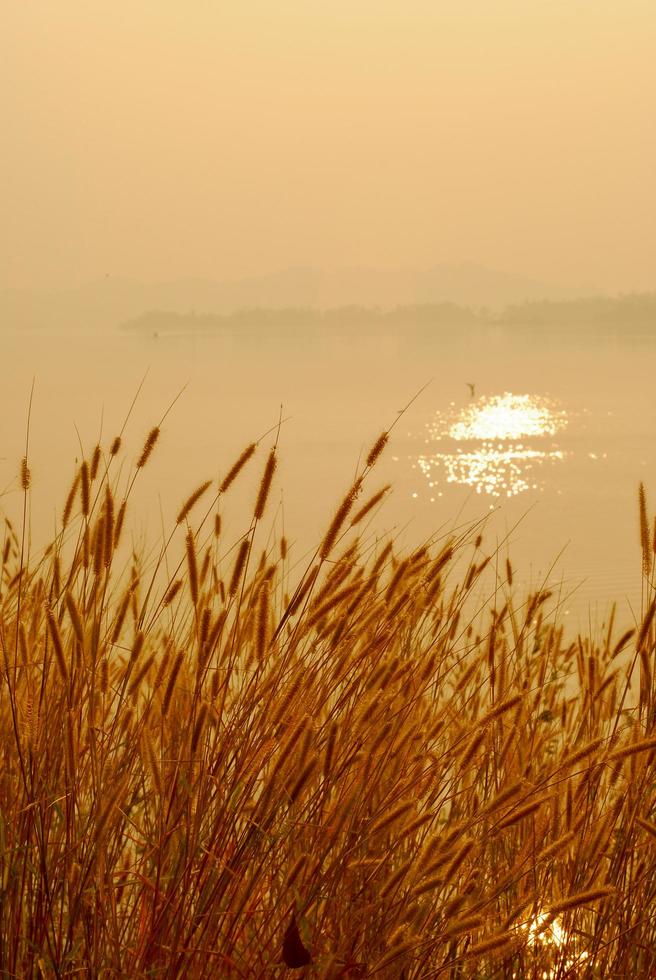 prachtig uitzicht schaduwen licht boot met lange staart zonsopgang in dam srinakarin nationaal park kanchanaburi, thailand foto