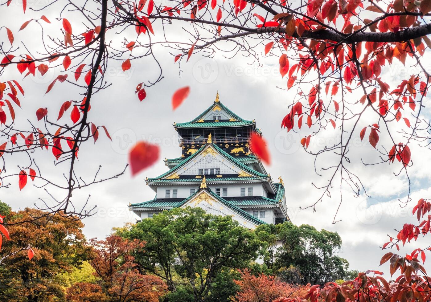 architectuur Osaka kasteel met rood bladeren vallend in herfst park Bij Kyoto foto