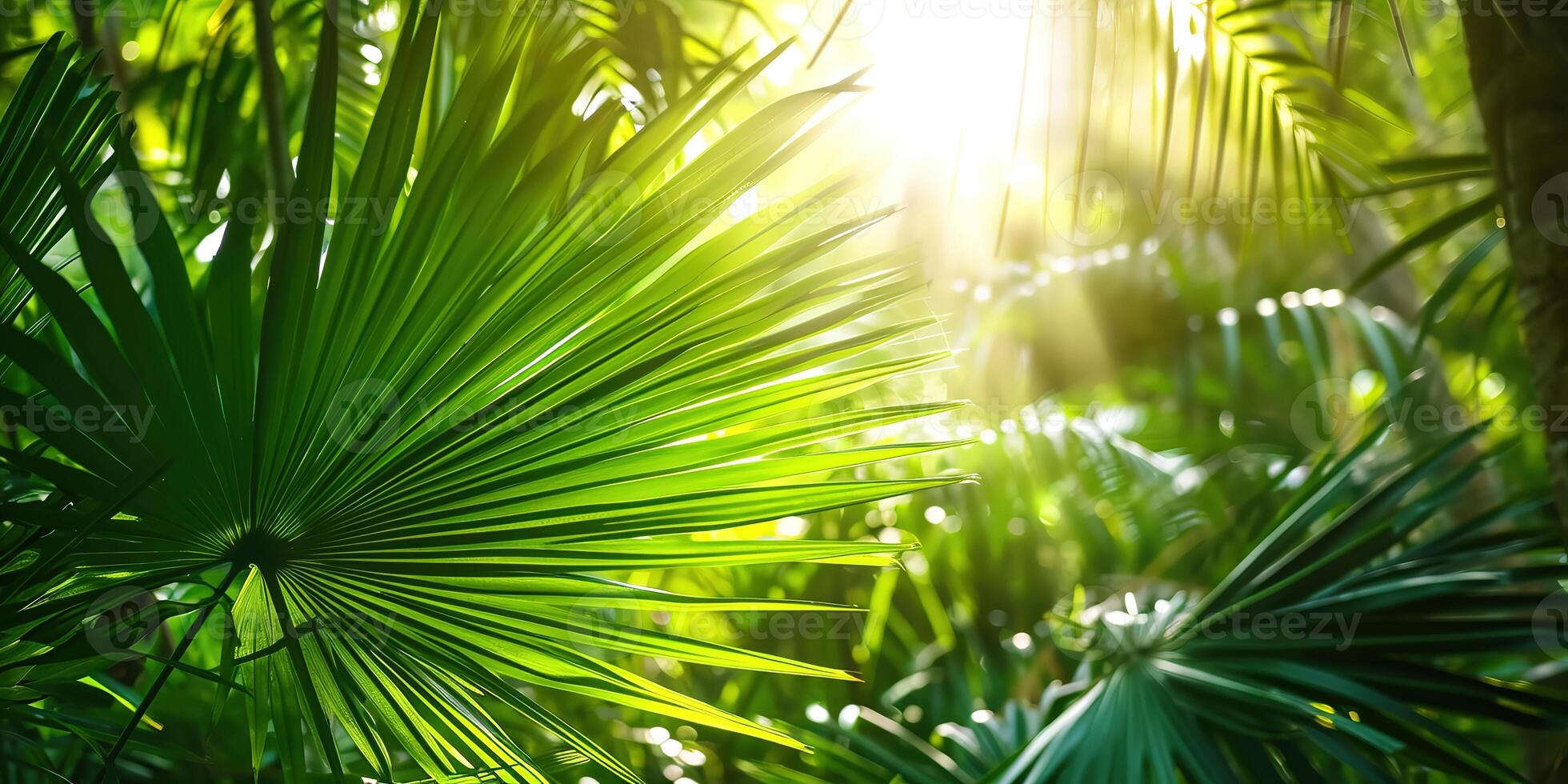 ai gegenereerd glimmend zonlicht in een idyllisch groen palm tuin, tropisch vegetatie achtergrond banier met kopiëren ruimte voor reis, vakantie en vakantie foto