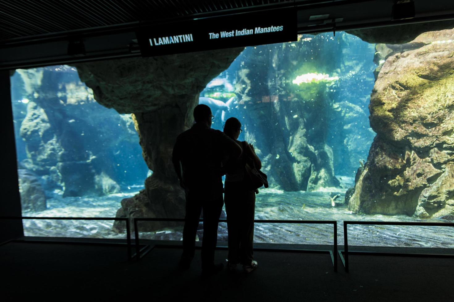 Genua, Italië, 2 juni 2015 - niet-geïdentificeerde mensen in het Genua-aquarium. het aquarium van genua is het grootste aquarium van italië en een van de grootste in europa. foto