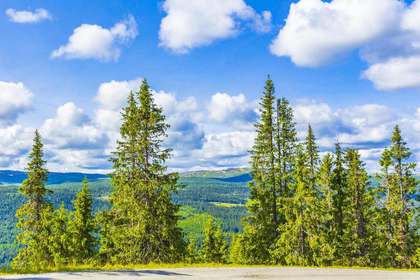 prachtig panorama met bos bergen natuur in kvitfjell favang noorwegen. foto