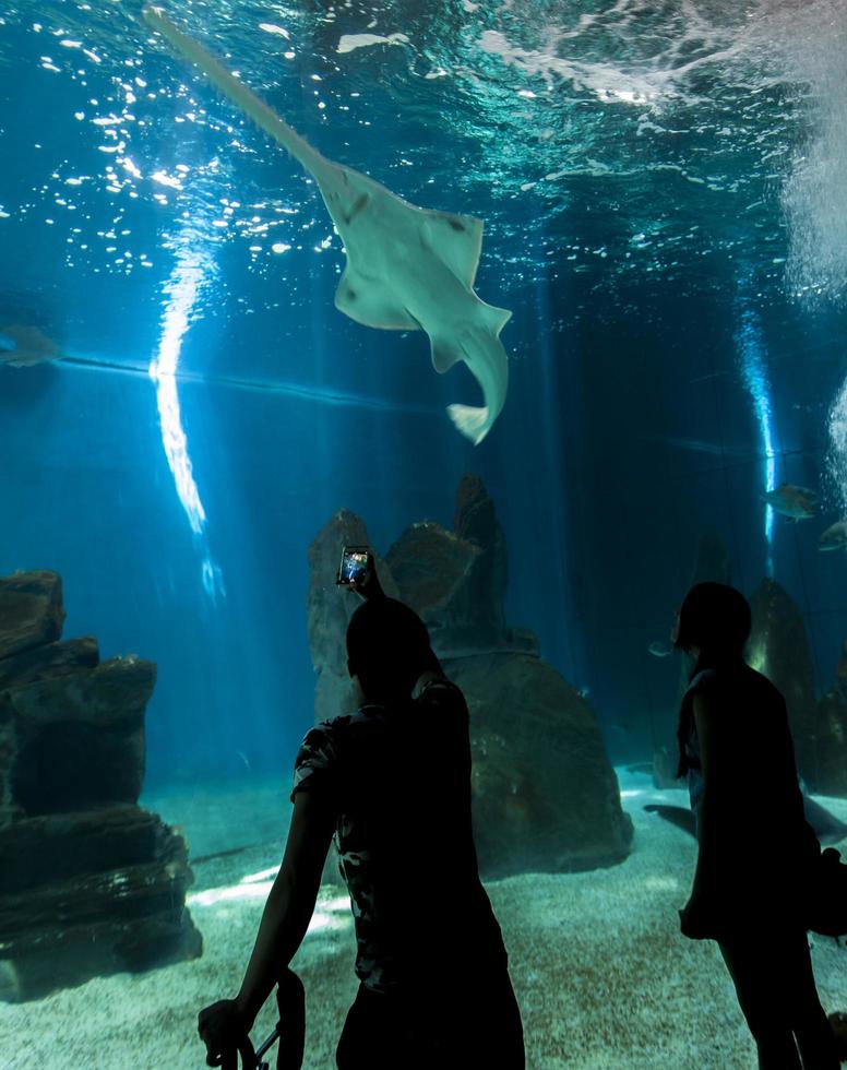 Genua, Italië, 2 juni 2015 - niet-geïdentificeerde mensen in het Genua-aquarium. het aquarium van genua is het grootste aquarium van italië en een van de grootste in europa. foto