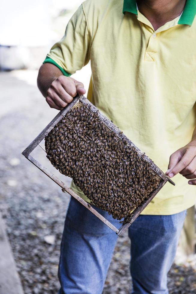 mekongdelta, 21 februari 2017 - niet-geïdentificeerde imker bij mekongdelta in vietnam. in de Mekong-delta zijn er ongeveer 120.000 zwermen bijen, die een jaarlijkse productie van 240 ton honing genereren. foto