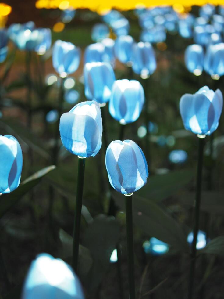 hand- gemaakt tulp en elektrisch licht lamp creat voor gevlogen licht bloemen vieren stad foto