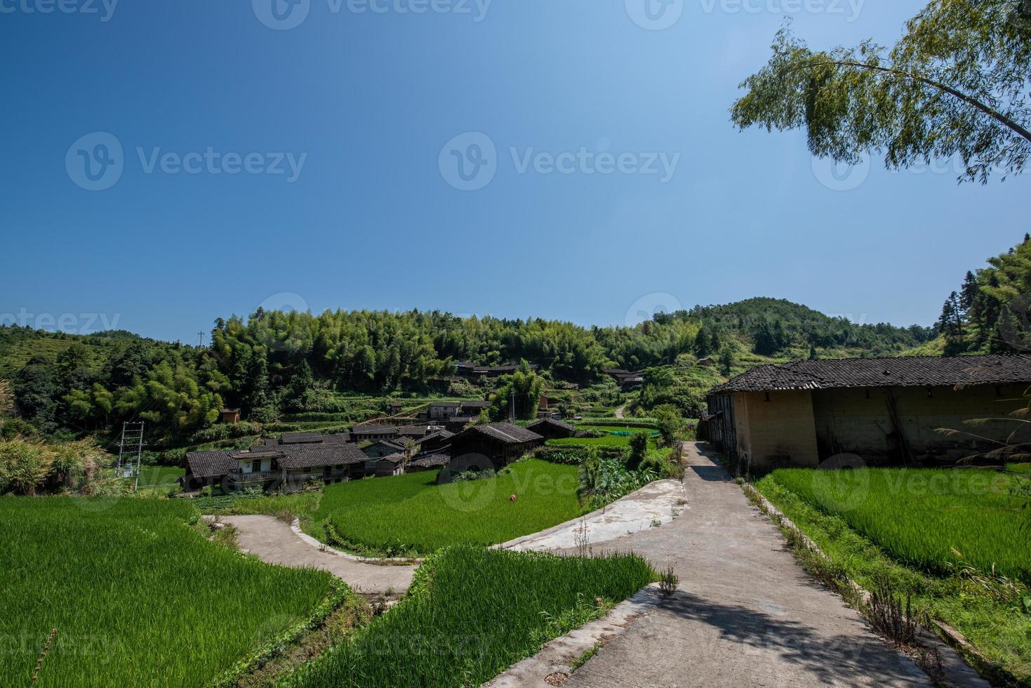 een weg die leidt naar een afstand in het land, met huizen en groene bossen of velden foto