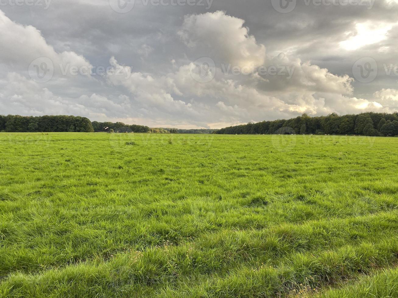 bewolkt landschap met gazon op het platteland foto