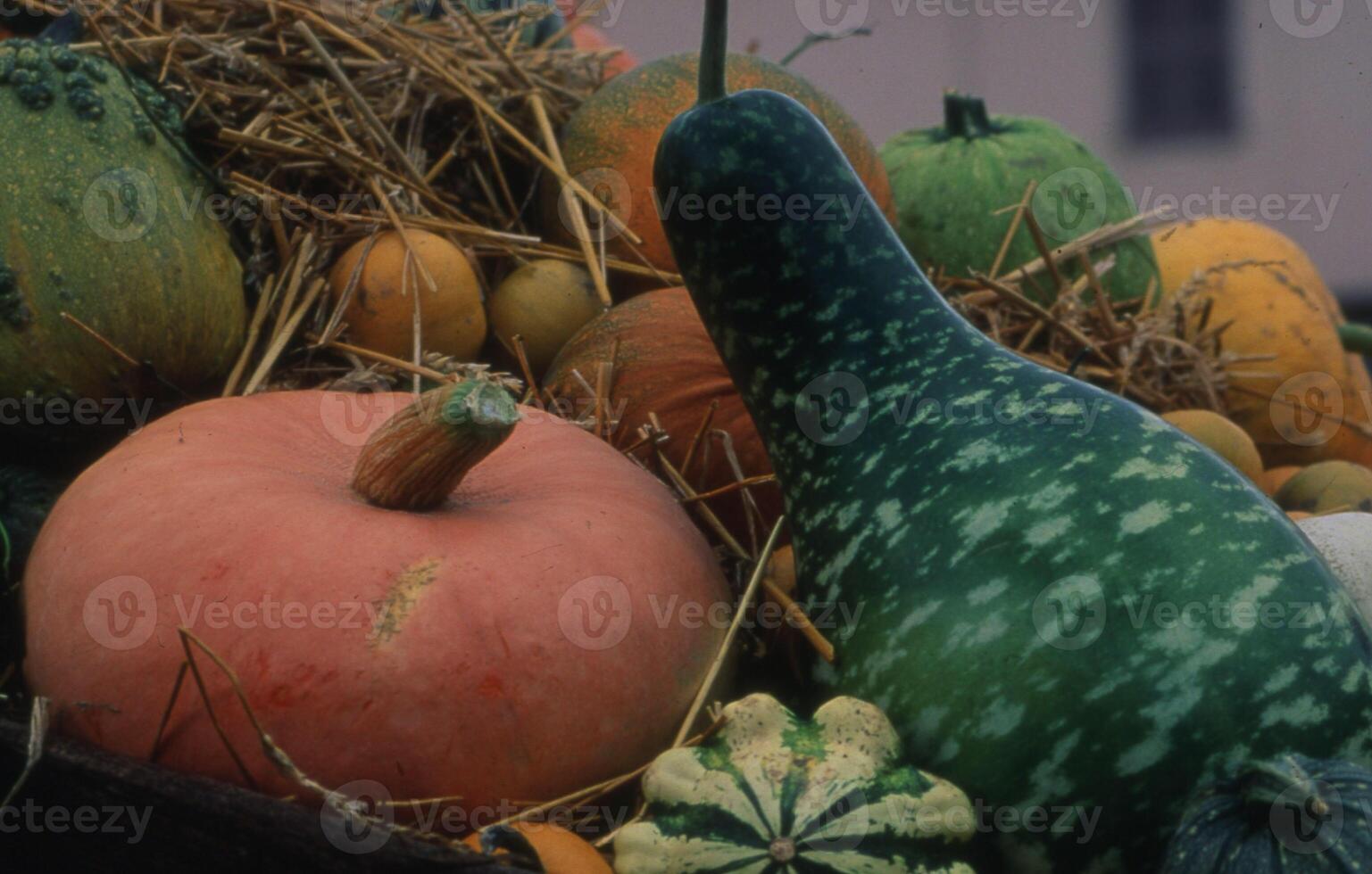 een stapel van pompoenen en kalebassen foto