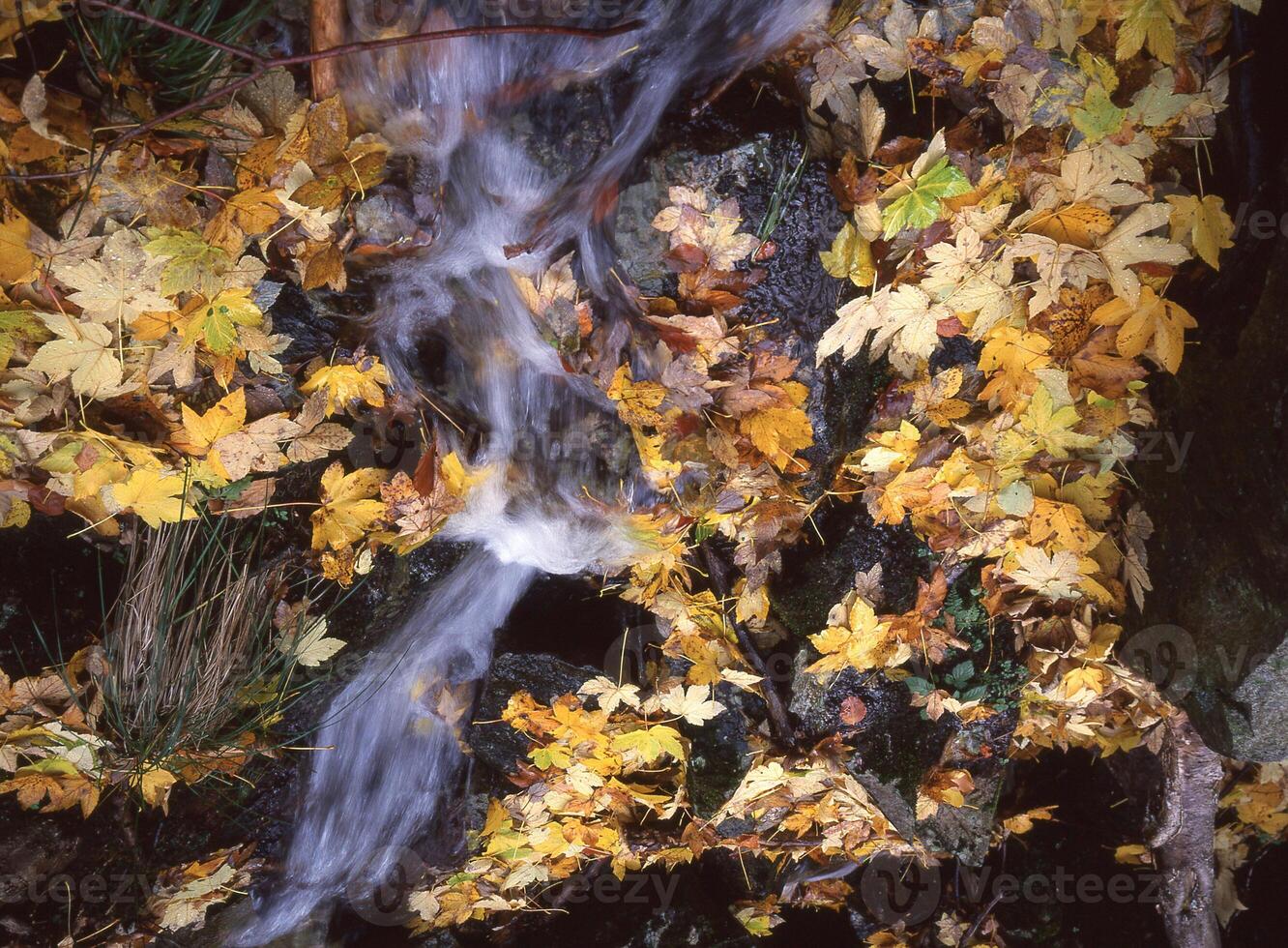 een waterval is vloeiende over- een rots foto