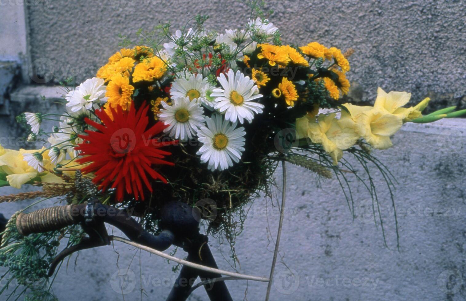 een fiets met bloemen foto