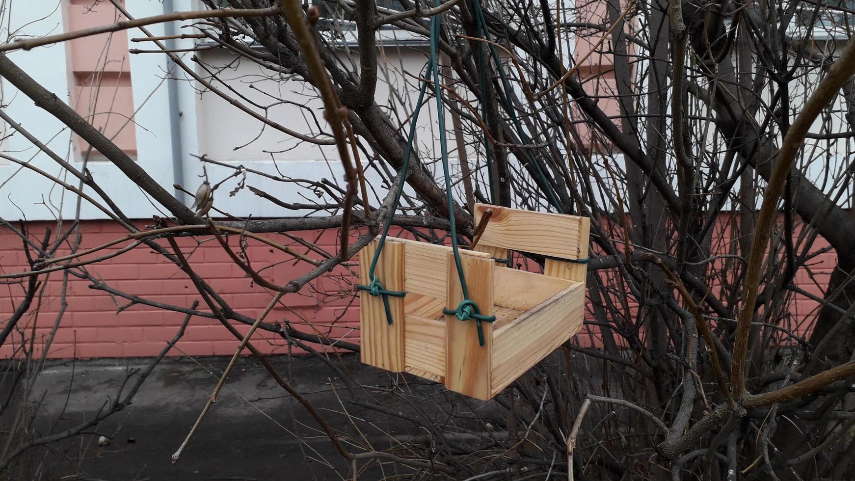 handgemaakte vogelvoeders die aan boomtakken hangen foto