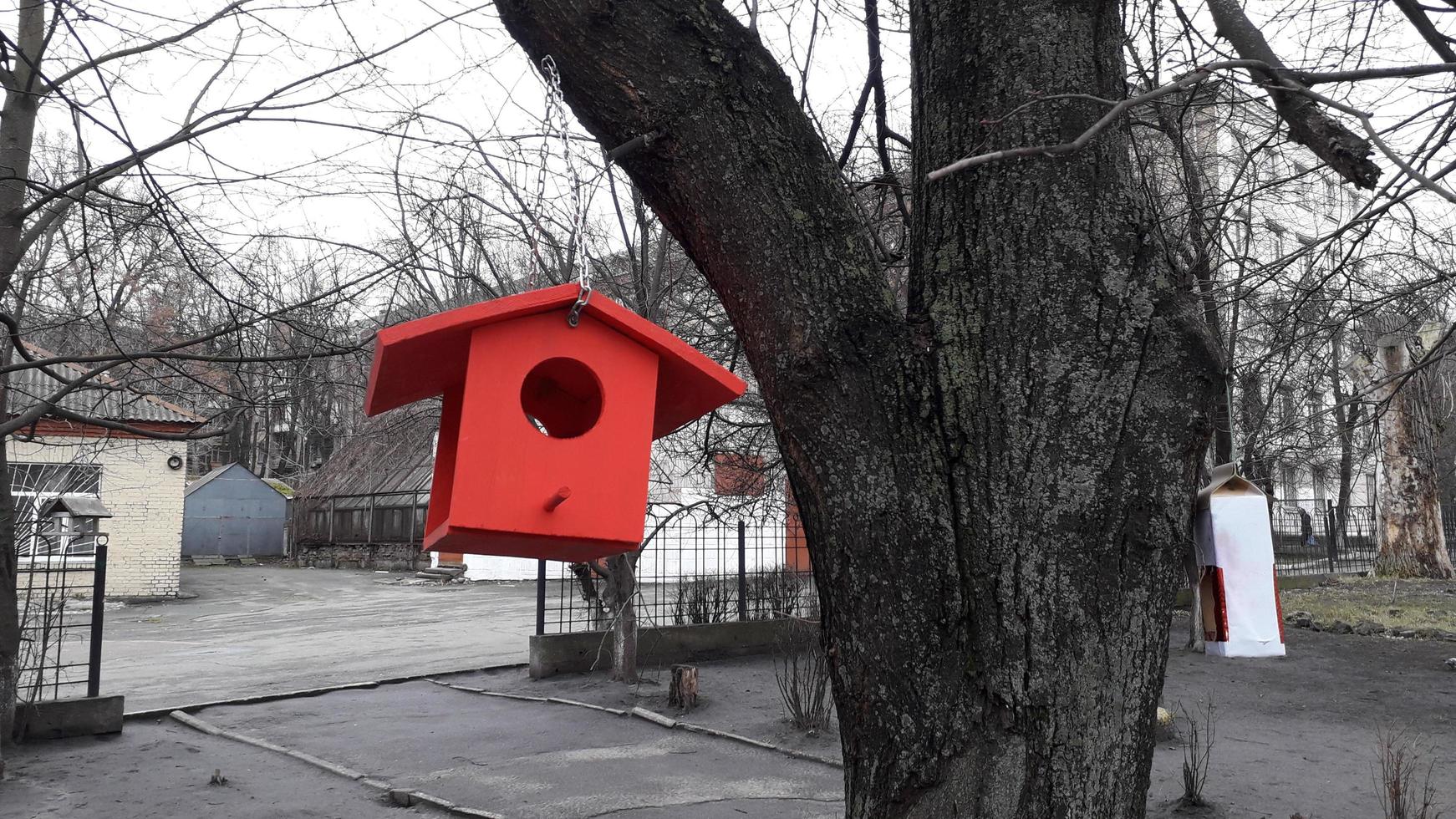 handgemaakte vogelvoeders die aan boomtakken hangen foto