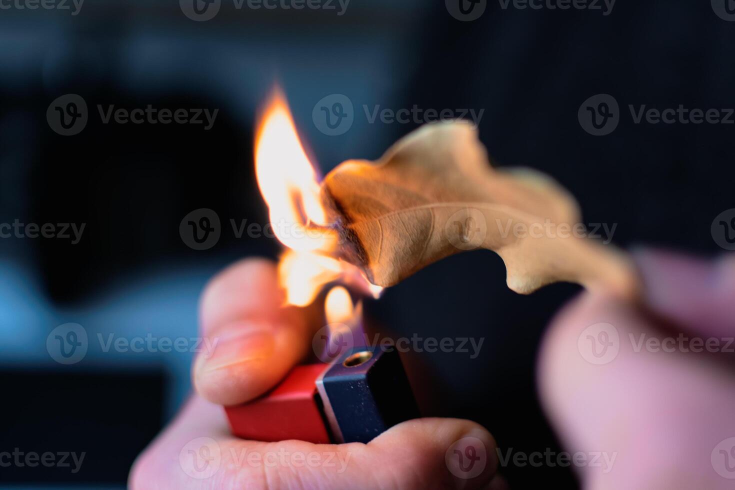 persoon wie brandwond baai bladeren naar brengen rust, verminderen ongerustheid, verlichten hoofdpijn en vermoeidheid en zuiveren de huis, laurus nobilis foto