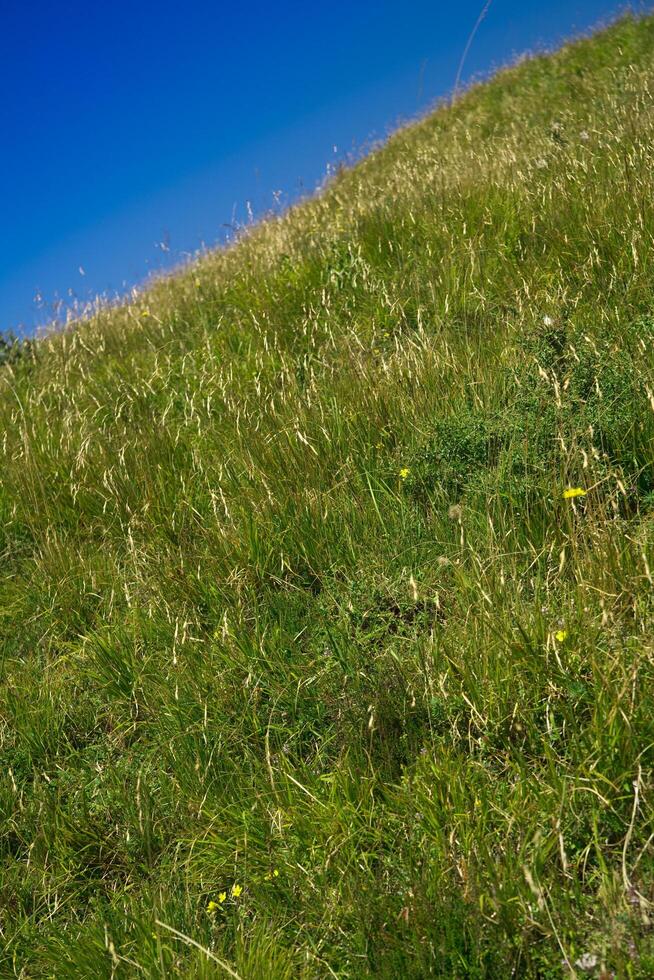 berg een helling van groen gras foto