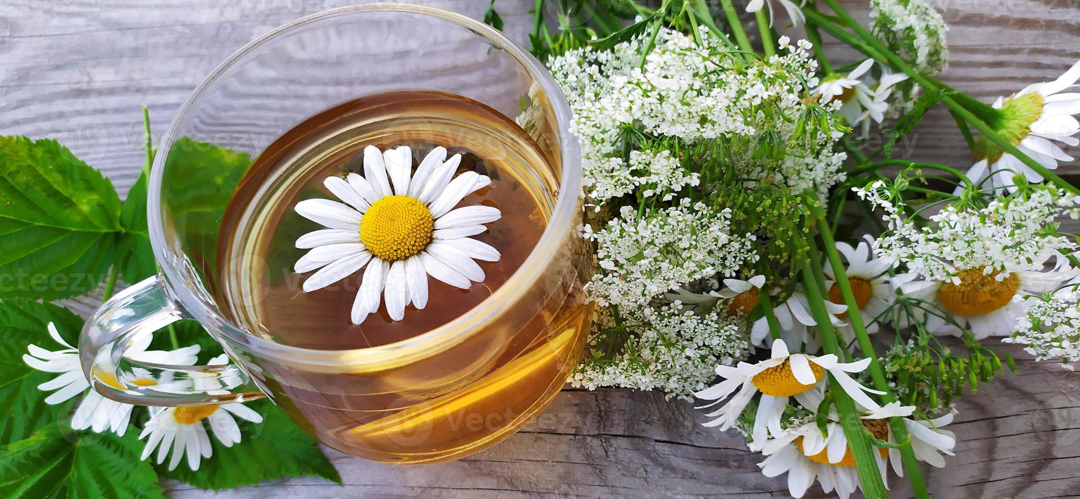 kamille aromatische thee in een glazen beker op een houten ondergrond. bloemen spandoek. zomerstilleven met wilde bloemen en geneeskrachtige kruidendrank. foto