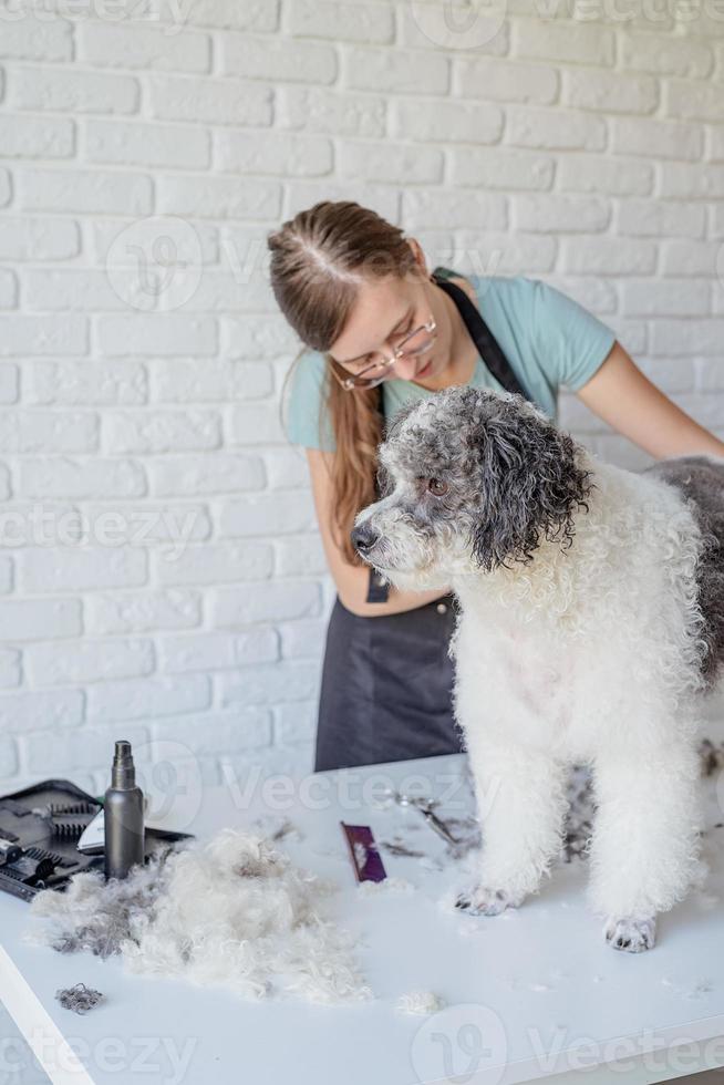 glimlachende vrouw die bichon frise-hond in salon verzorgt foto