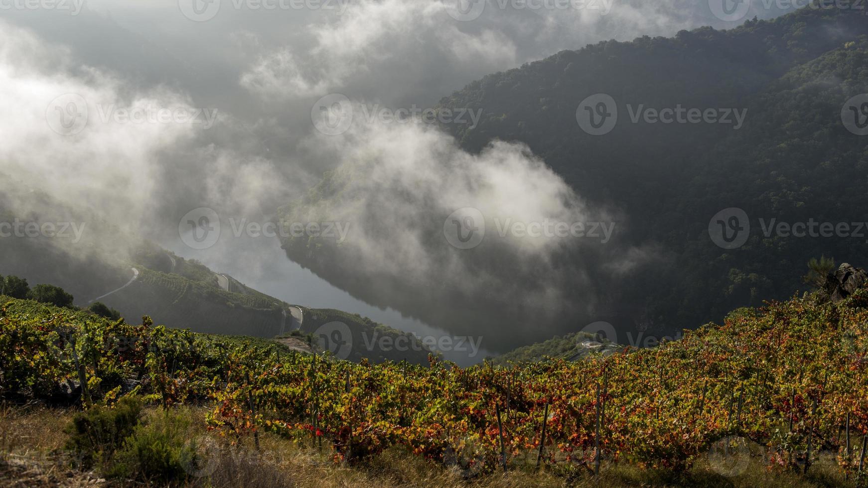 landschap van terrasvormige wijngaarden aan de minho-rivier in ribeira sacra, galicië, spanje foto