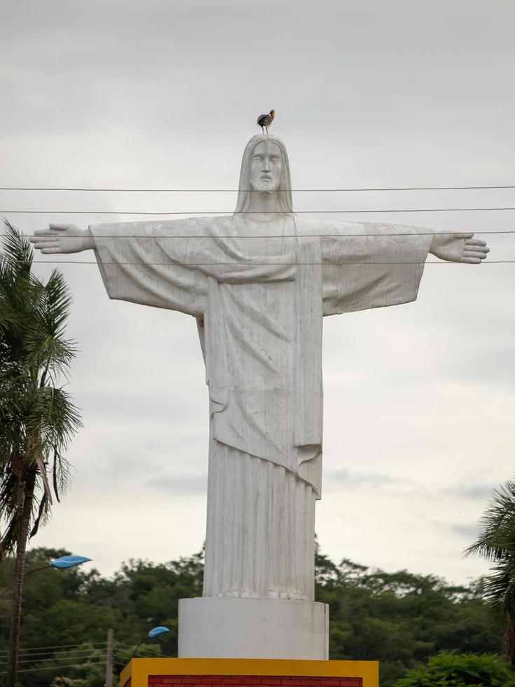 cassilandia, mato grosso do sul, brazilië, 2021 - Christusbeeld van de stadsbegraafplaats met een buff-necked ibis van de soort theristicus caudatus foto