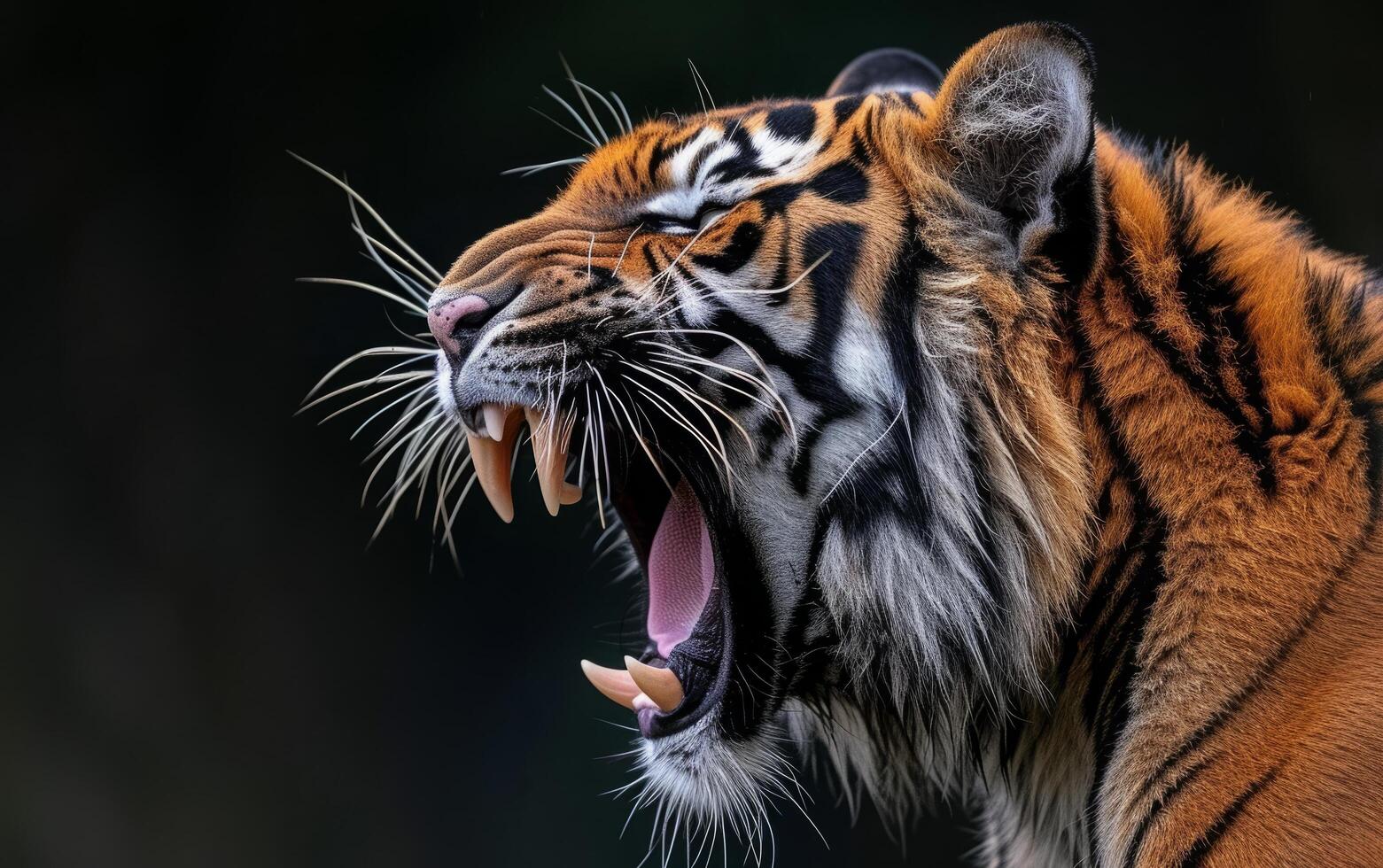 ai gegenereerd Bengalen tijger brullen profiel visie foto