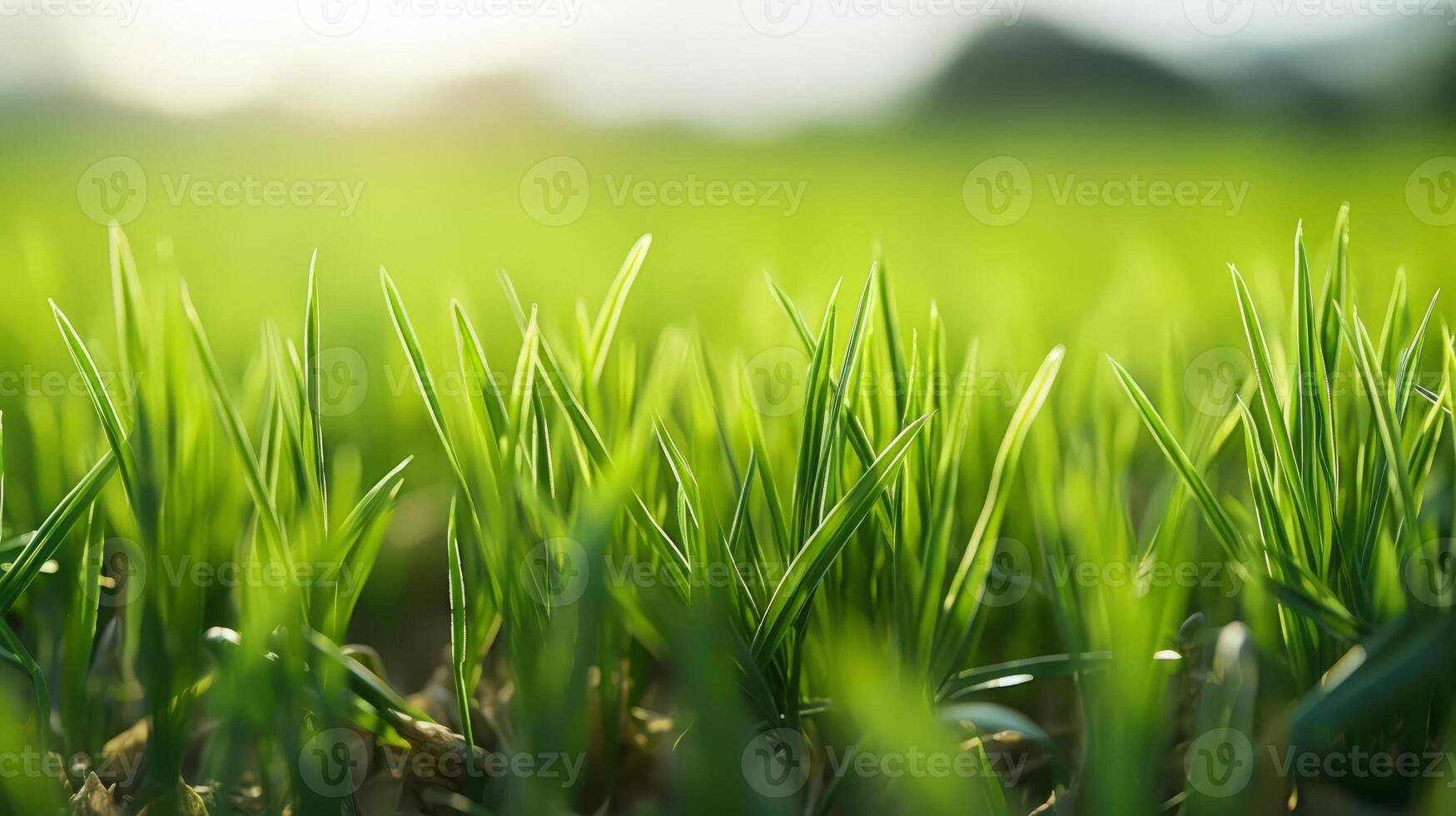 ai gegenereerd jong gras planten groeit in zonlicht foto