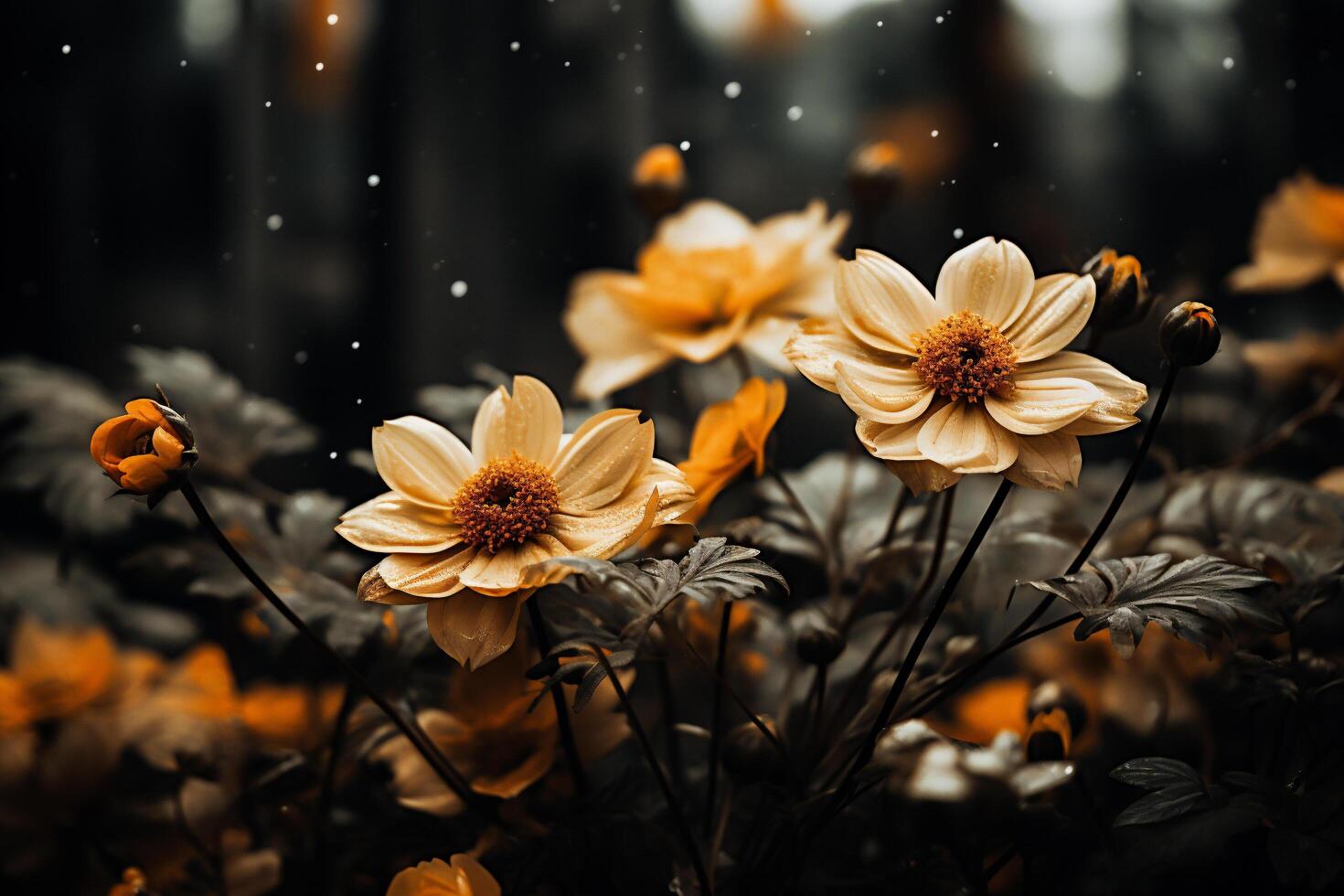 ai gegenereerd mooi wit bloemen in de tuin Bij zonsondergang. natuur achtergrond. foto