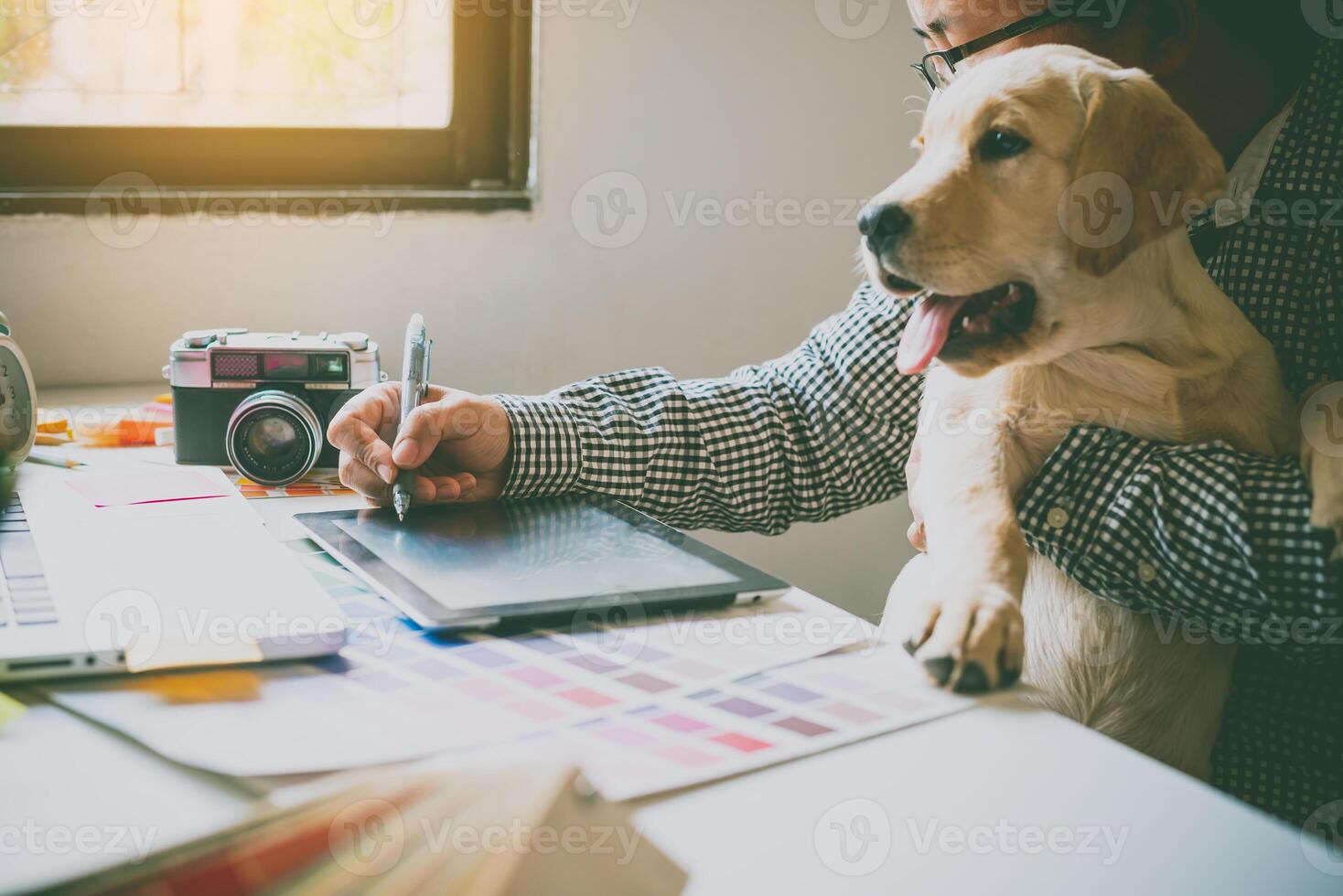ontwerpers en ontwerpers werk Bij huis door draag- puppy's in hun armen. foto