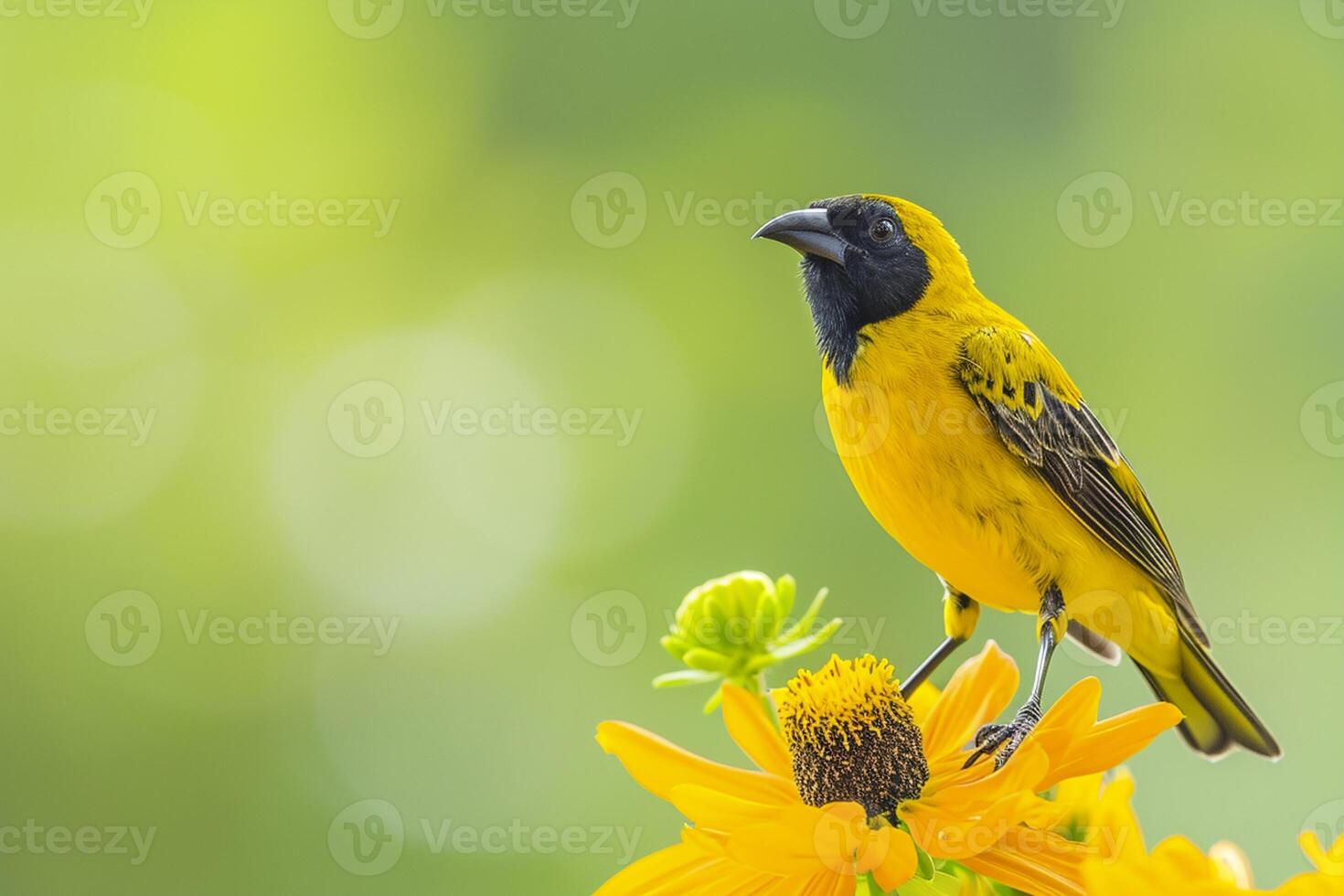 ai gegenereerd levendig geel vogel neergestreken Aan een bloeiend geel bloem tegen een zacht groen achtergrond ai gegenereerd foto
