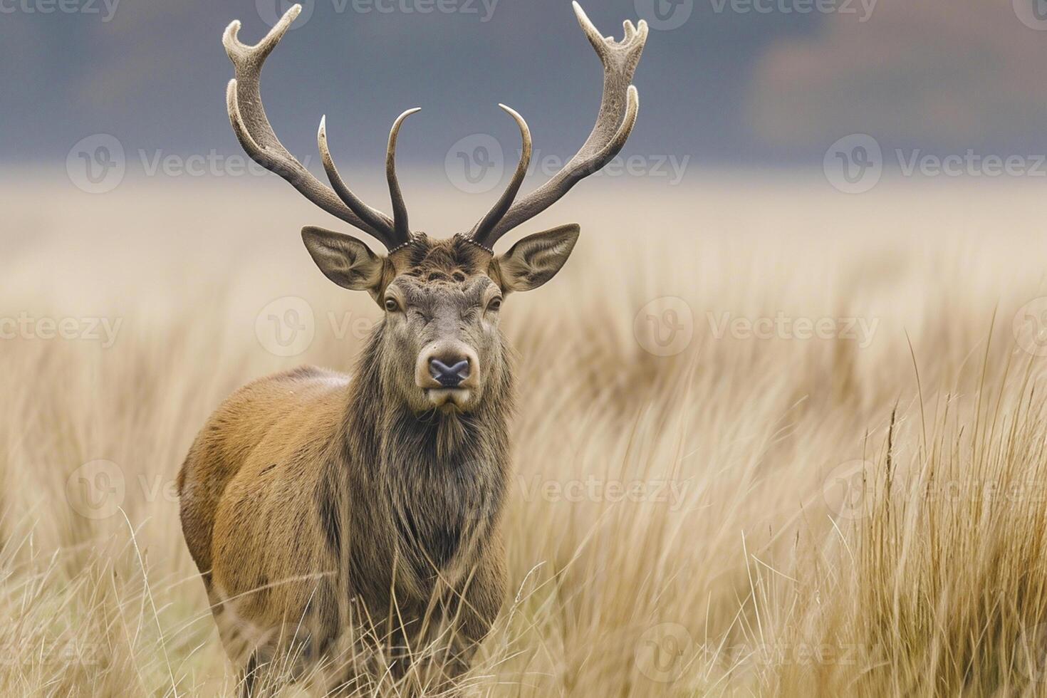 ai gegenereerd majestueus hert staand temidden van hoog, wild grassen ai gegenereerd foto