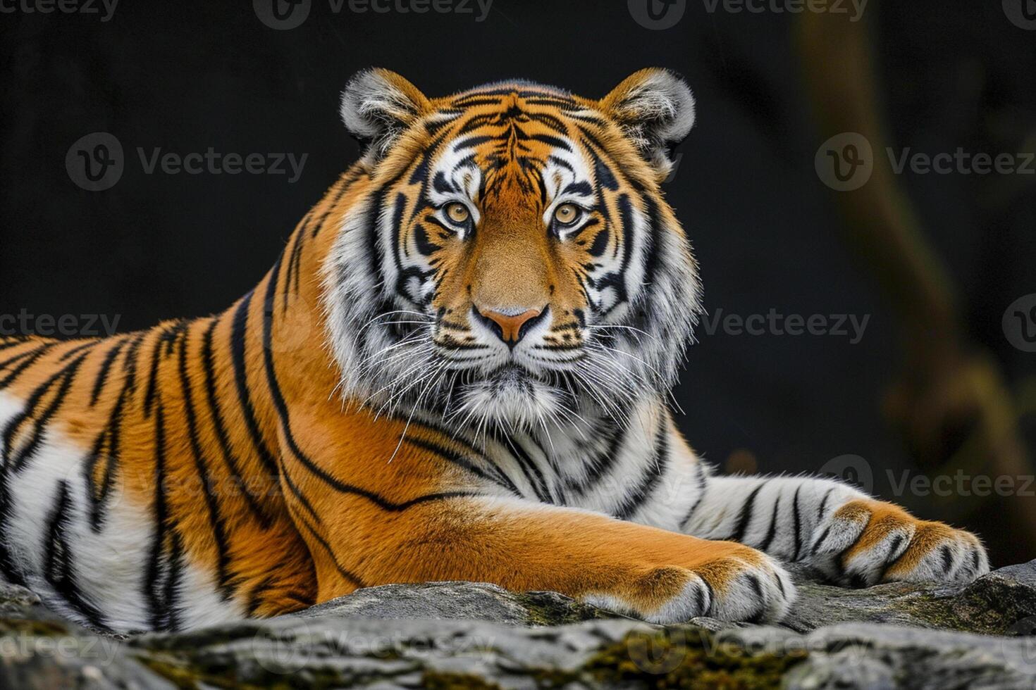 ai gegenereerd tijger met rijk gedetailleerd vacht, presentatie van de ingewikkeld patroon van strepen ai gegenereerd foto