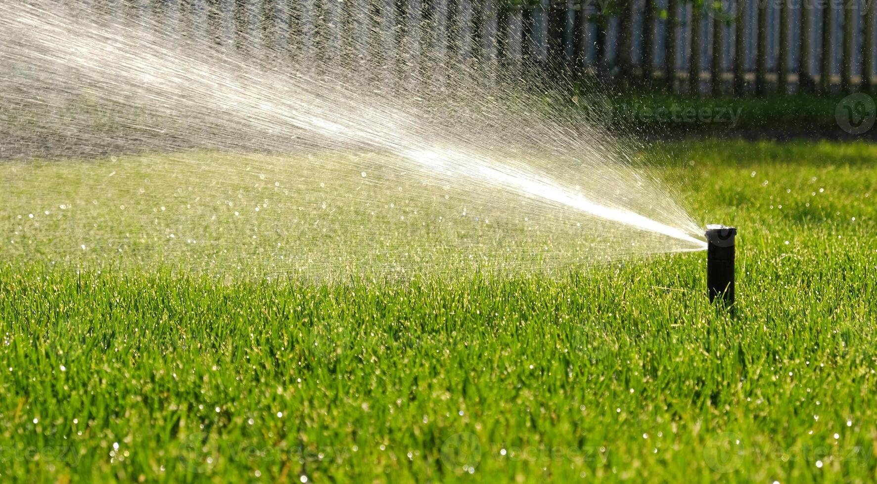 automatisch tuin irrigatie systeem gieter gazon met verstelbaar hoofd. automatisch uitrusting voor irrigatie en onderhoud van gazons, tuinieren. foto