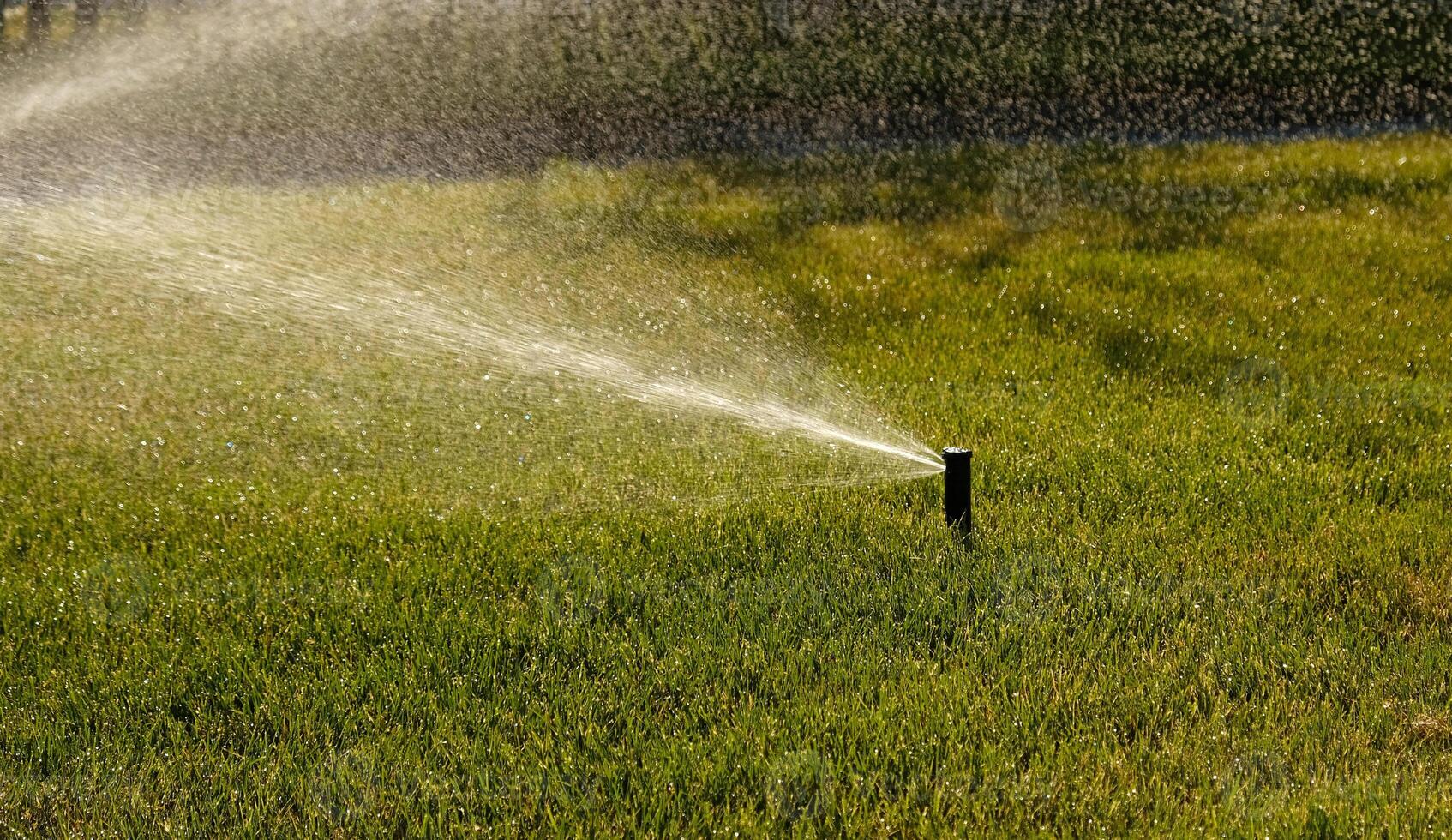 automatisch tuin irrigatie systeem gieter gazon met verstelbaar hoofd. automatisch uitrusting voor irrigatie en onderhoud van gazons, tuinieren. foto