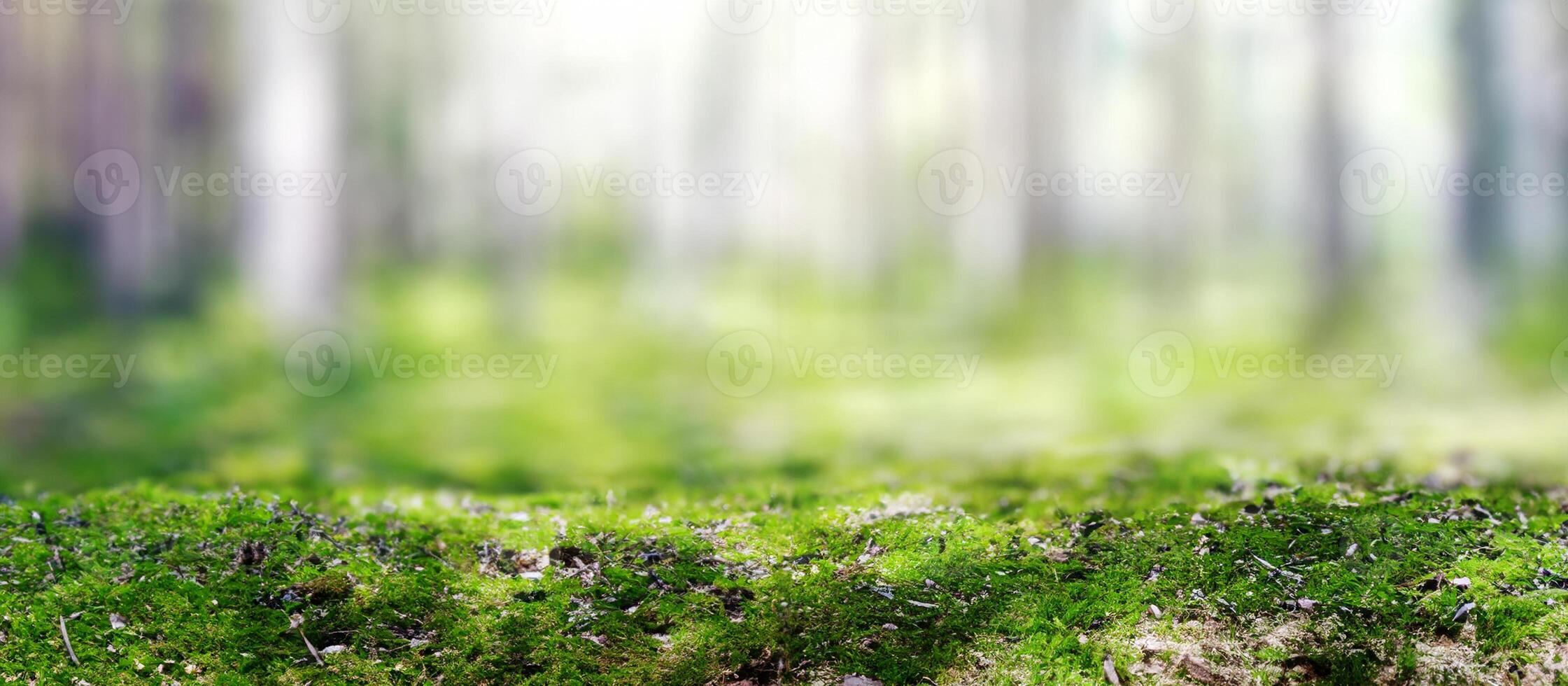 groen ecologie achtergrond foto