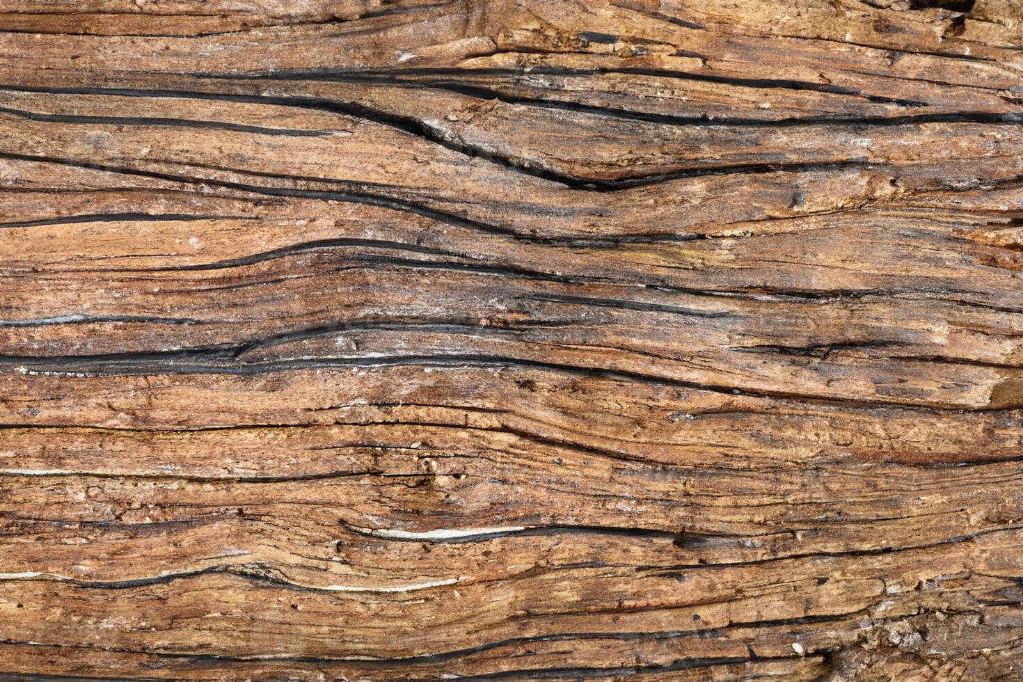 textuur van hout foto