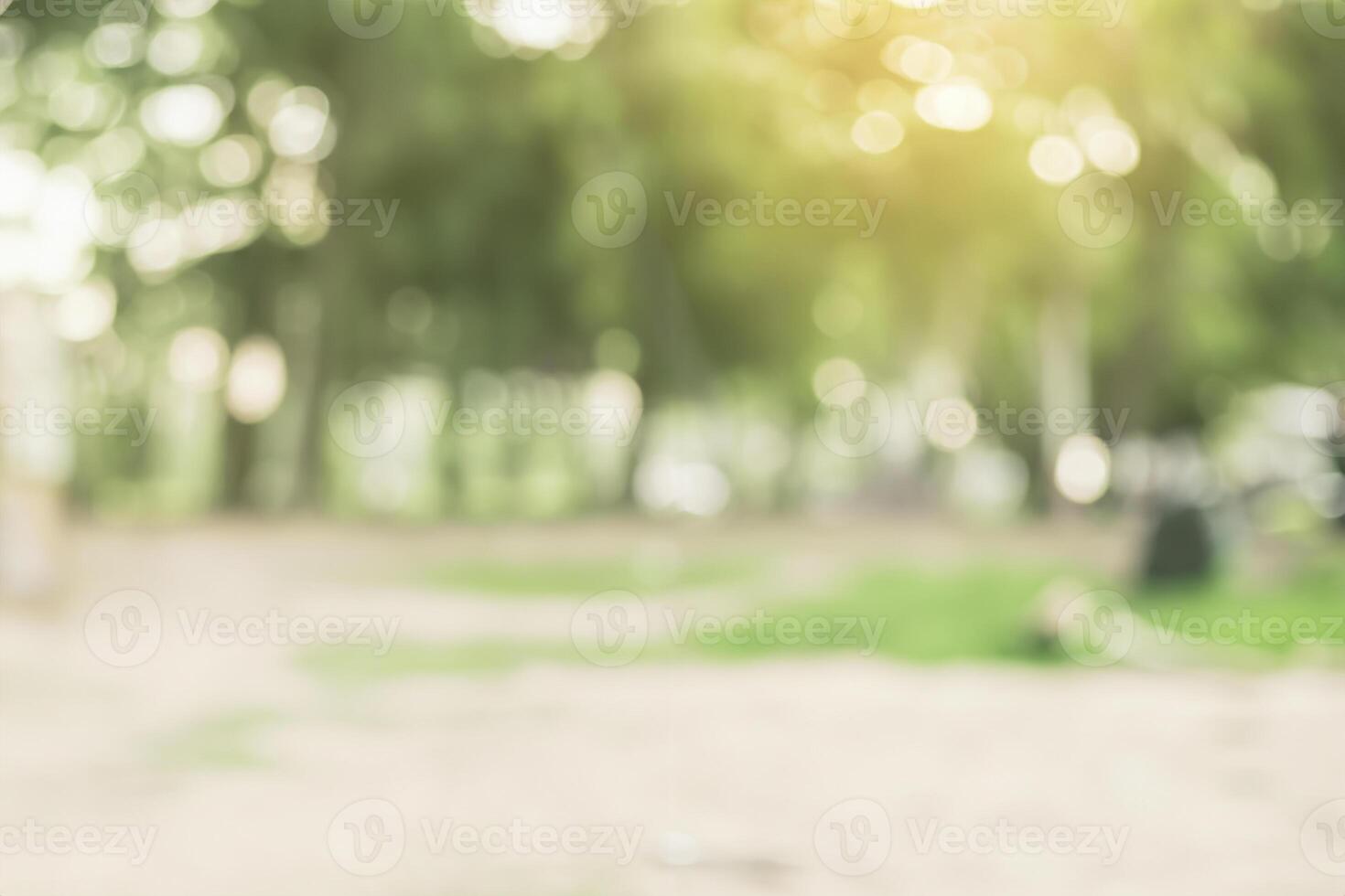 vervagen natuur groen park met zon licht abstract achtergrond. foto