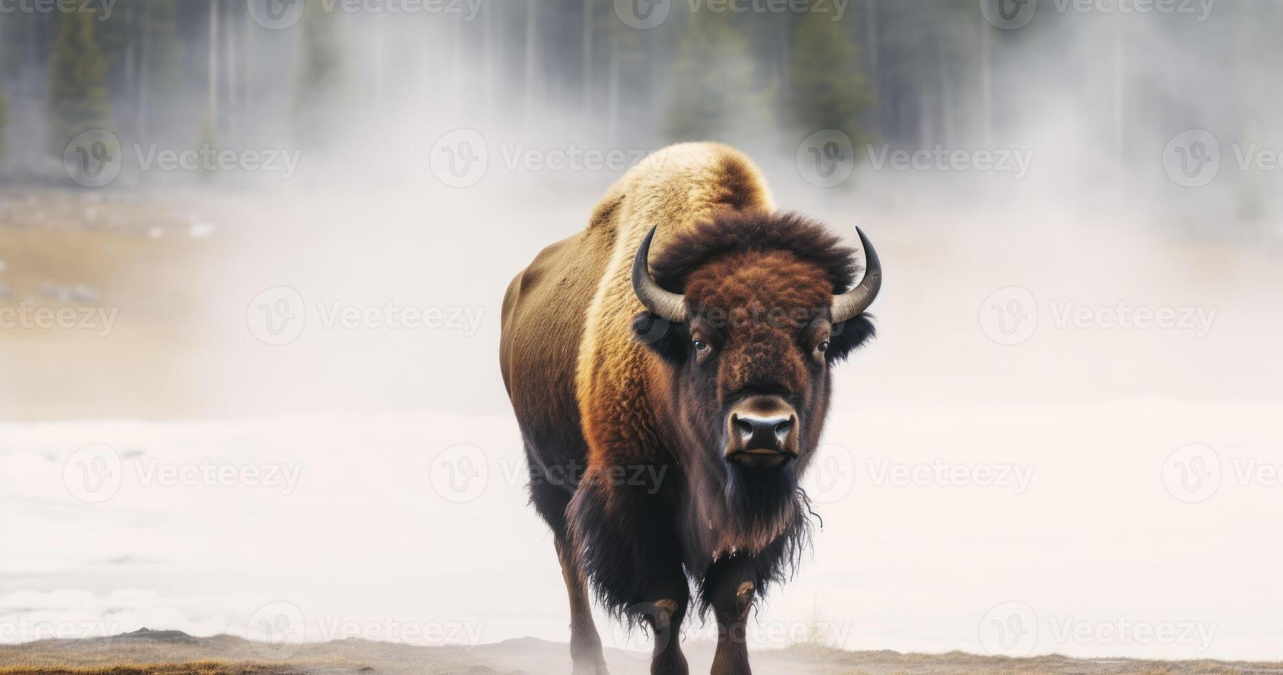 ai gegenereerd een eenzaam bizon begrazing in de buurt een heet lente, gesluierd in ochtend- mist foto