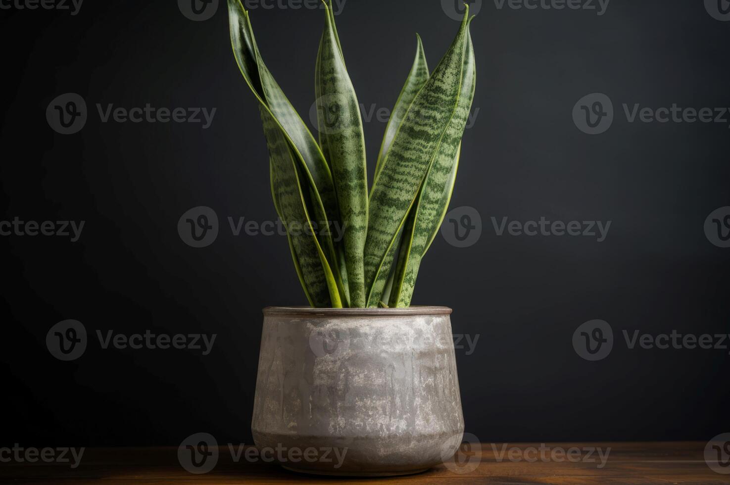 ai gegenereerd sansevieria fabriek kamer. genereren ai foto