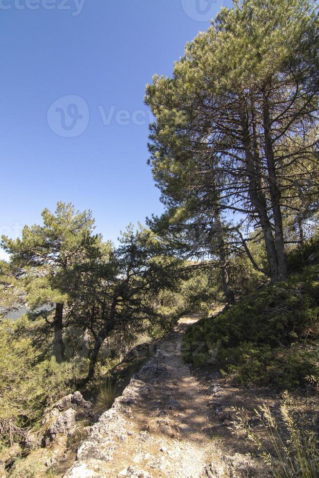 landschappen en trails van de mooi natuur van de Sierra de Cazola, Jaen, Spanje. natuur vakantie concept. foto