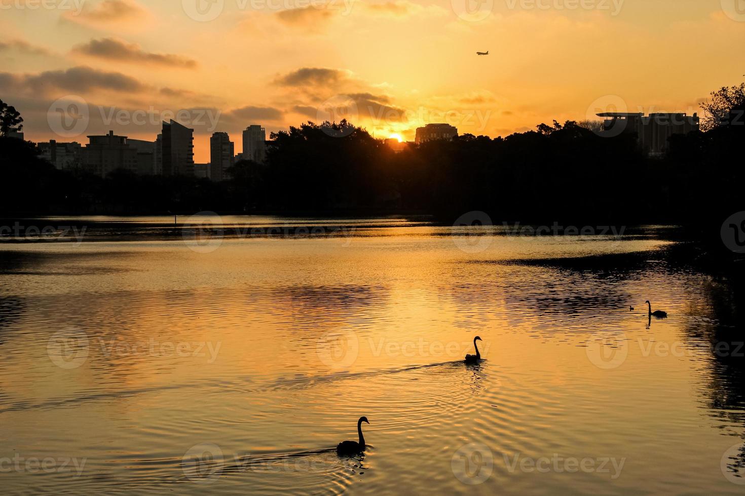 gouden zonsondergang op een meer met zwanen en een vliegtuig in de lucht dat over de gebouwen van de grote stad vliegt. São Paulo, Brazilië foto