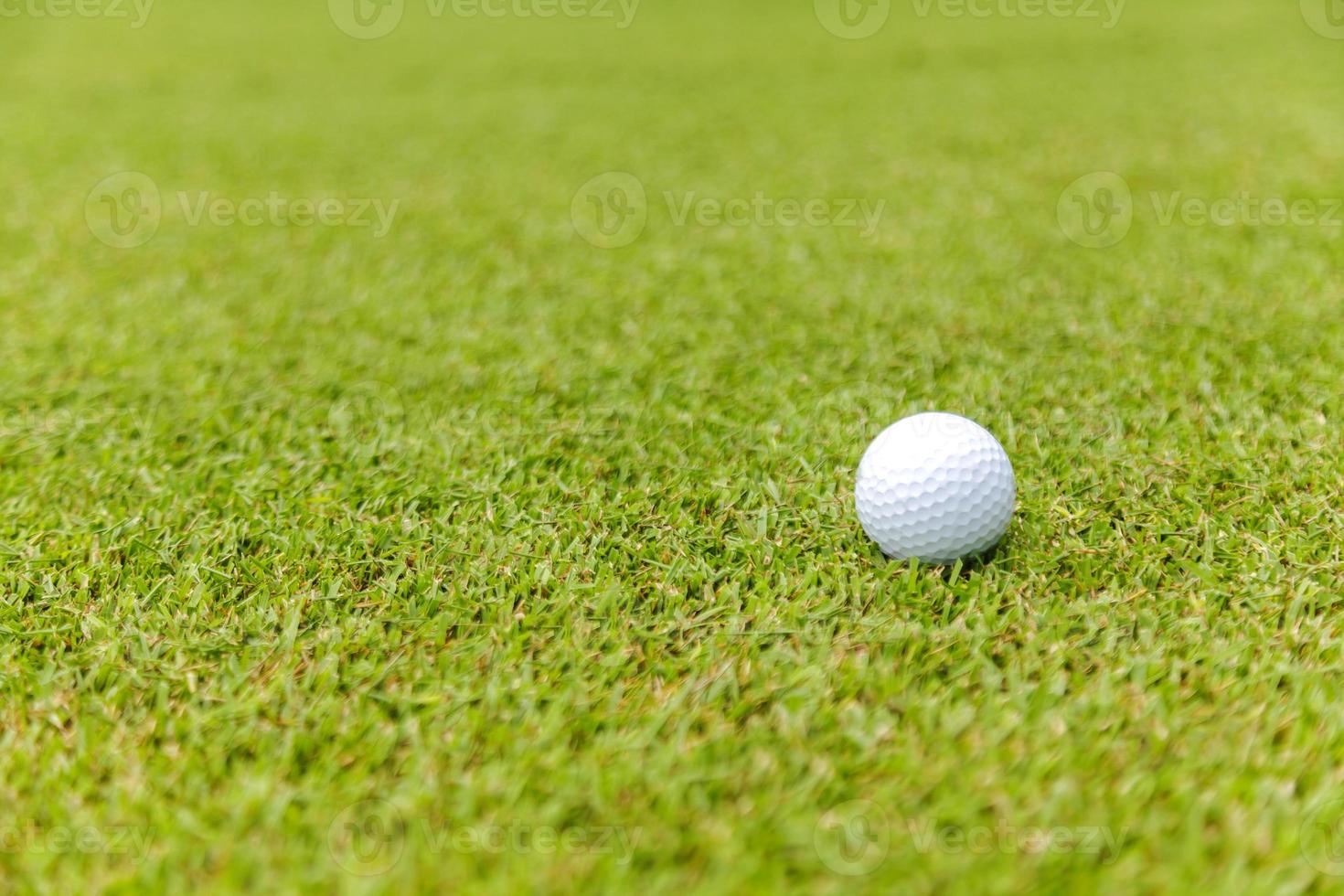 golfbal op groen gras op golfbaan foto