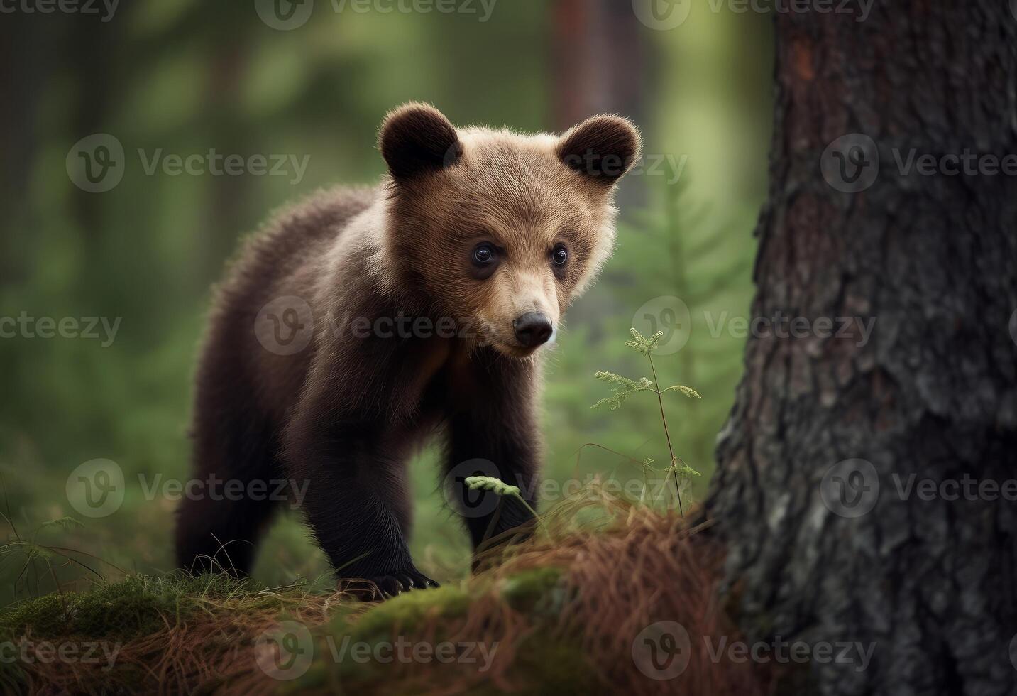 ai gegenereerd knuffelig wollig beer. genereren ai foto