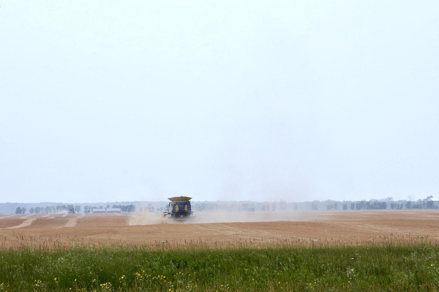 een rode maaidorser wordt door het stof gezien terwijl hij een veld oogst foto