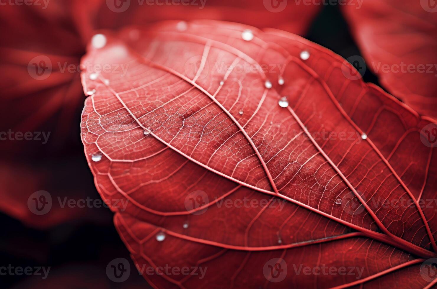 ai gegenereerd kenmerkend macro blad rood. genereren ai foto
