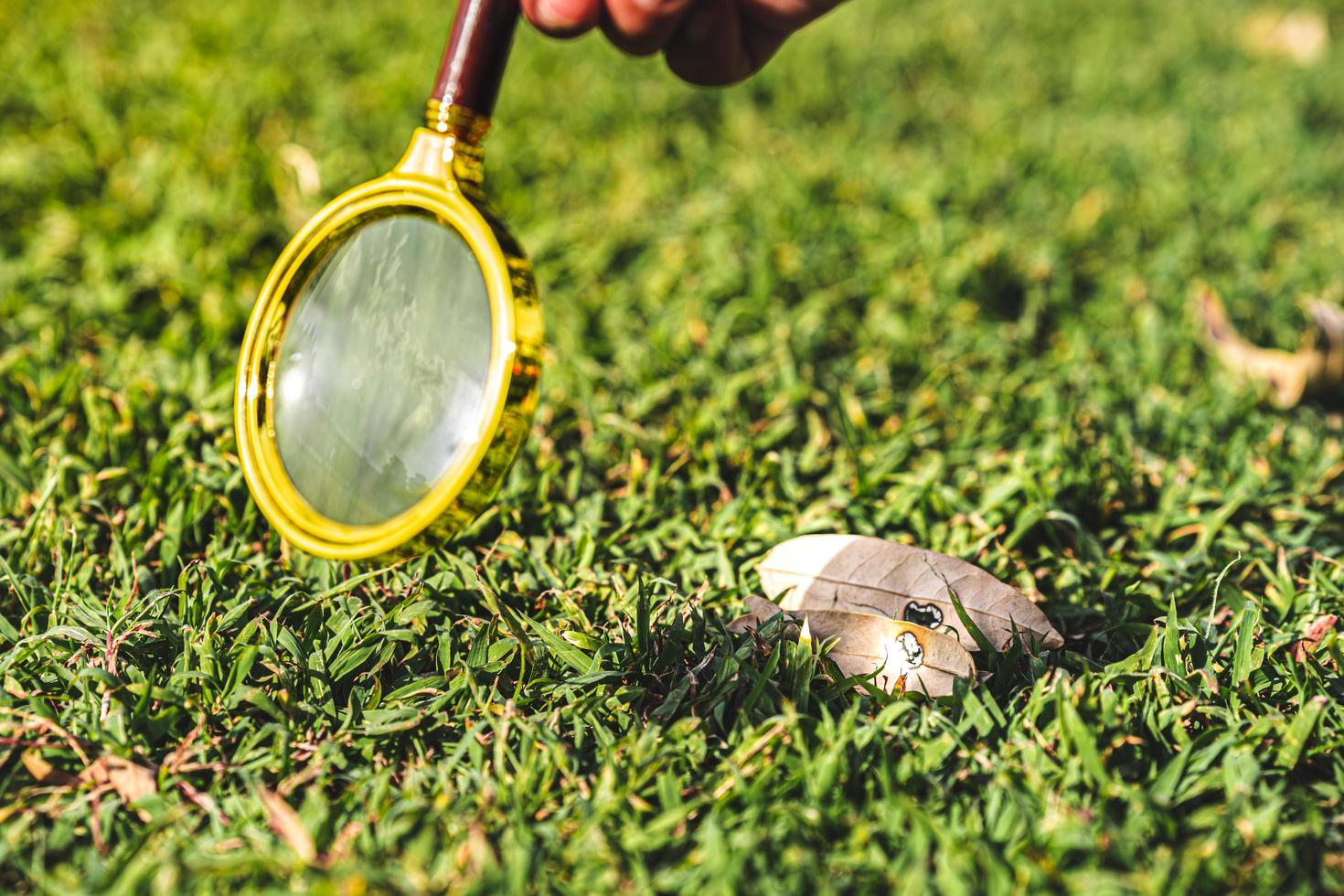 wetenschappelijk experimentconcept. door de zonnestralen door een vergrootglas te combineren om meer te weten te komen over de warmte en energie van de zon. foto