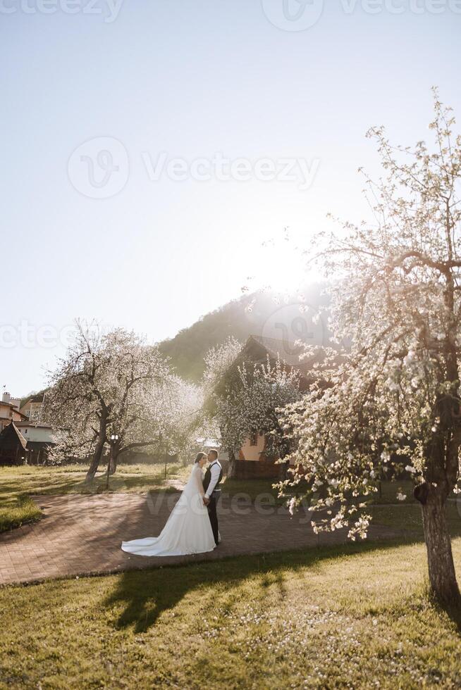 bruiloft. liefde en paar in tuin voor bruiloft. viering van ceremonie en inzet. opslaan de datum. vertrouwen. de bruidegom omarmt de bruid tegen de achtergrond van voorjaar bloeiende bomen. foto