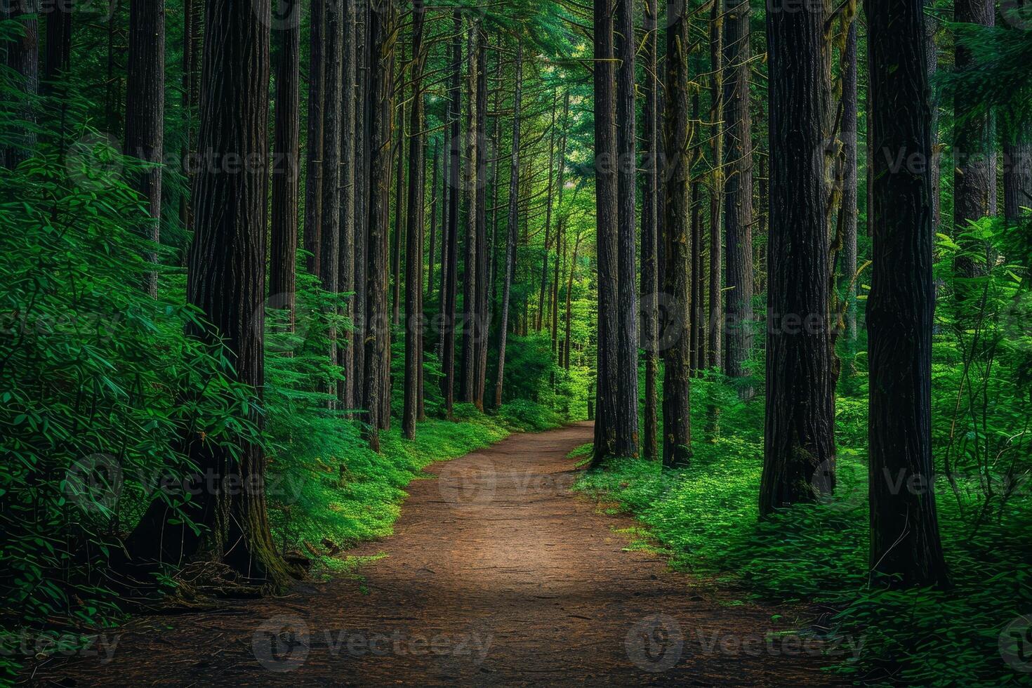 ai gegenereerd spoor door hoog bomen in een weelderig Woud foto