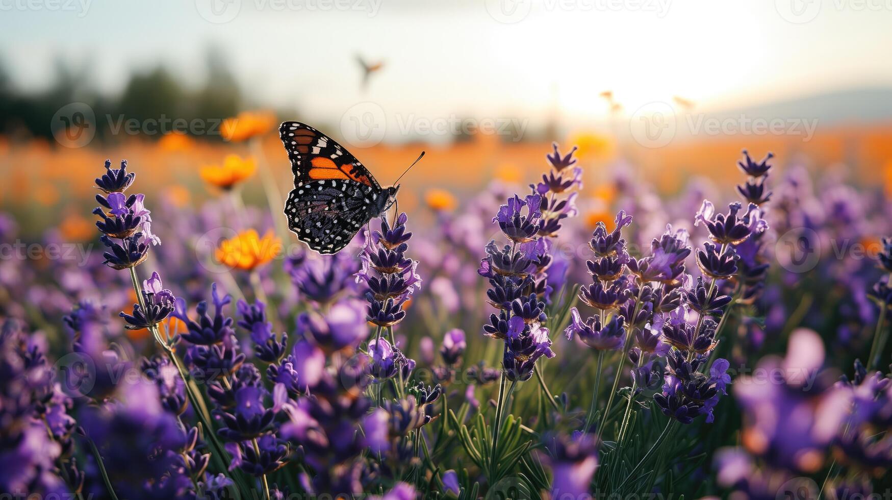 ai gegenereerd monarch majesteit, zonsondergang serenade Aan lavendel foto
