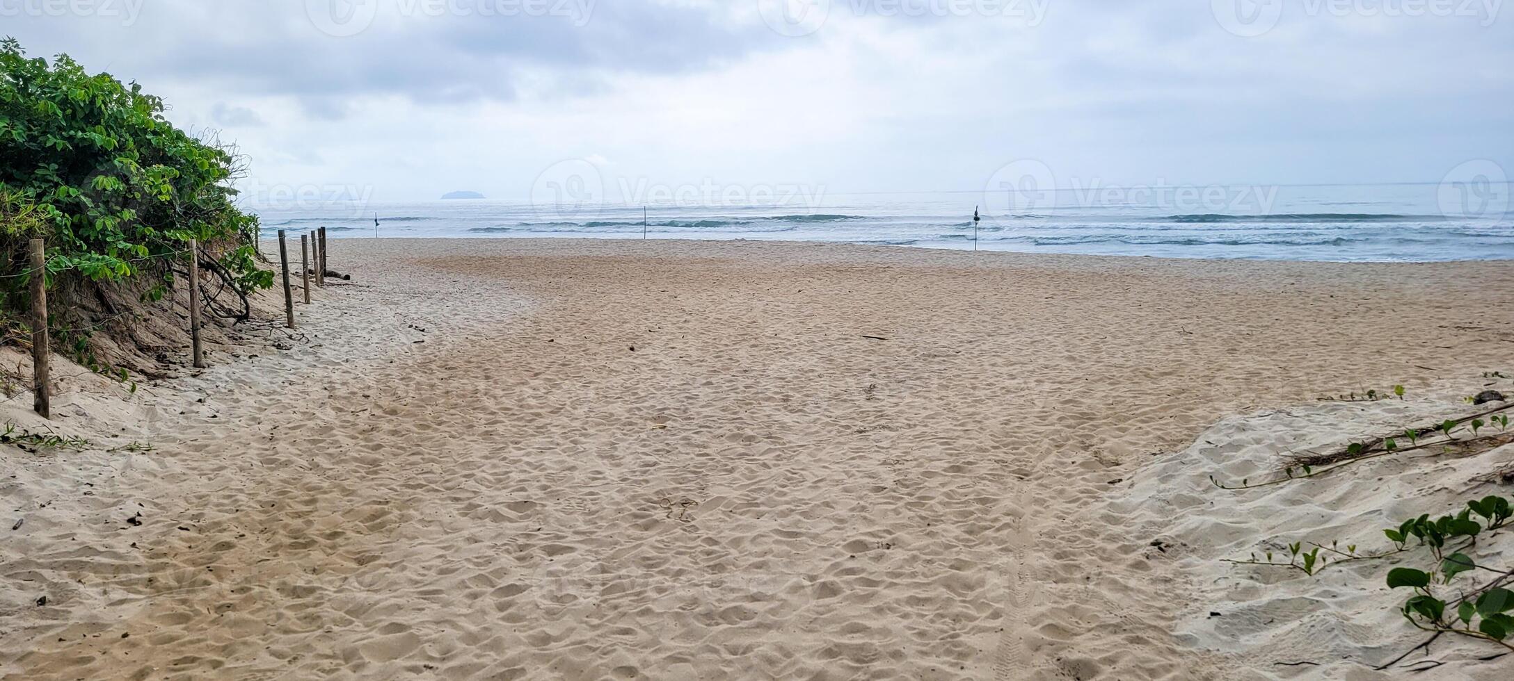 beeld van strand met wit zand en kalmte zee Aan zonnig dag met zwemmers en surfers Aan de strand foto