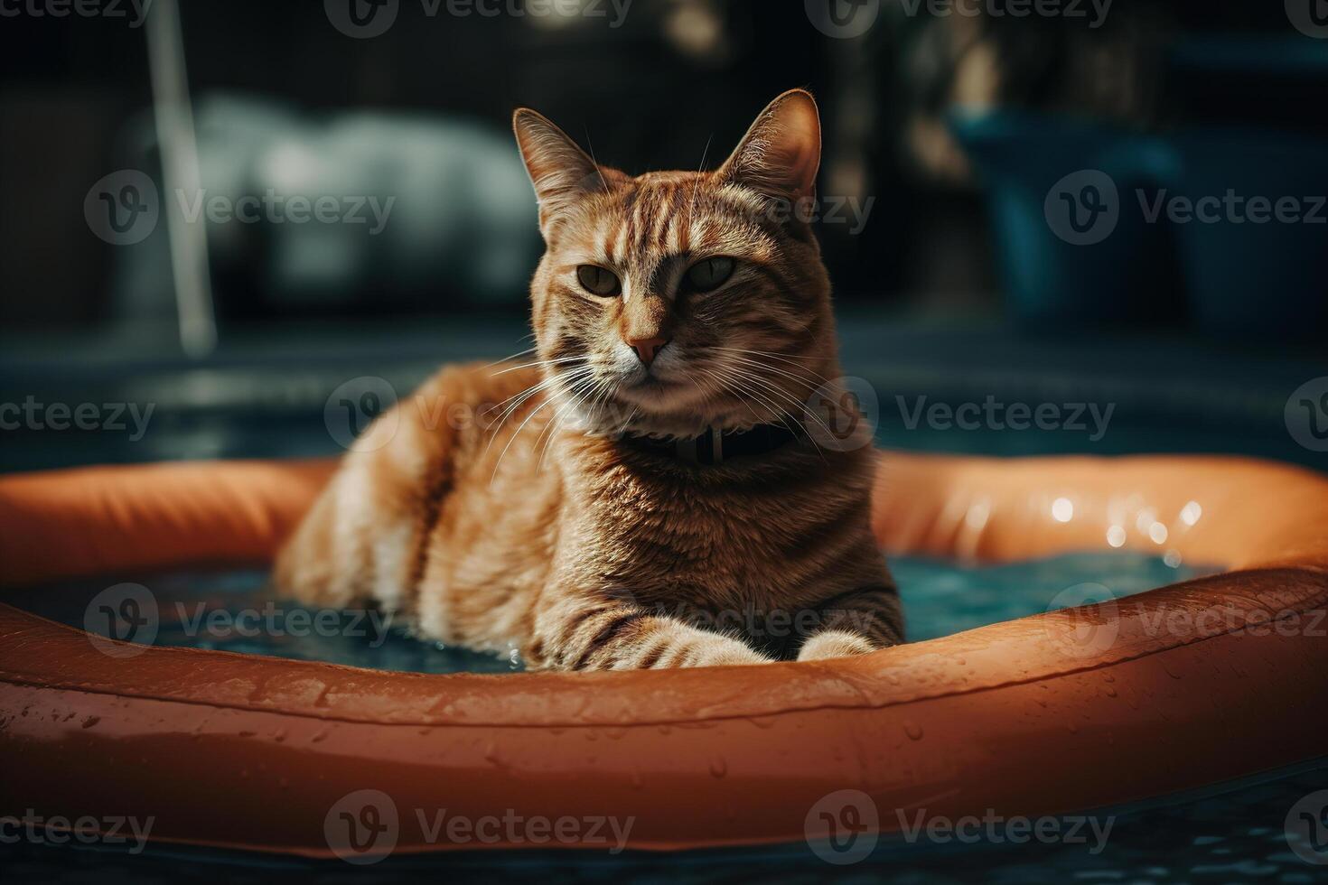 ai gegenereerd roodharig mooi kat chillen in zwembad Aan zonnig dag, huisdier aan het liegen resting in water buitenshuis. dier vakantie, generatief ai foto