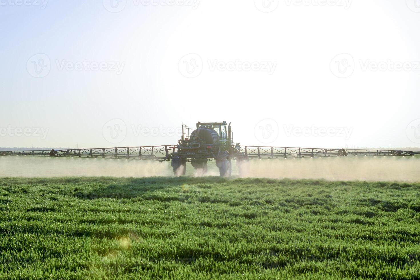 trekker Aan de zonsondergang achtergrond. trekker met hoog wielen is maken kunstmest Aan jong tarwe. de gebruik van fijntjes verspreid verstuiven Chemicaliën foto