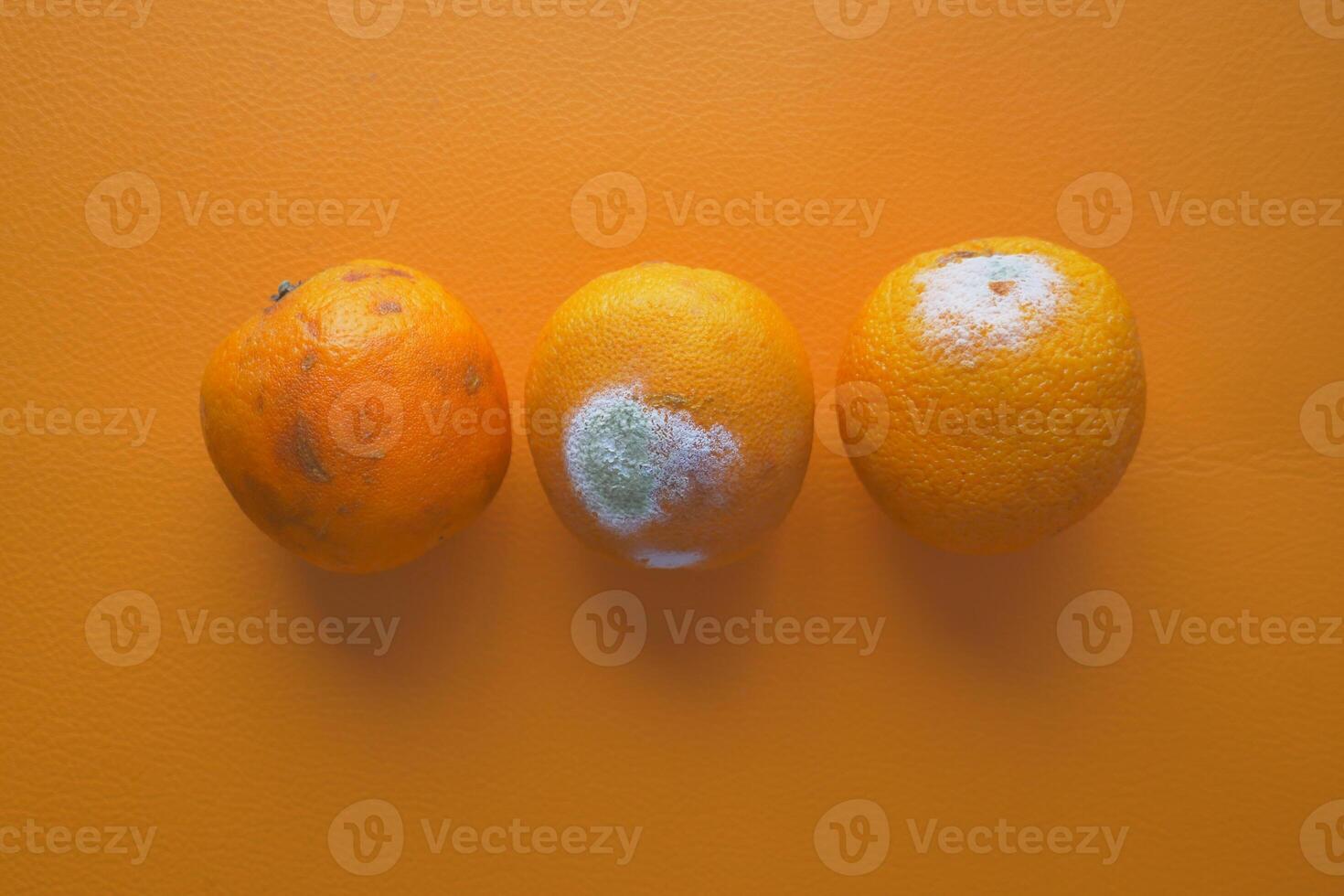 verrot oranje. beschimmeld oranje Aan kleur achtergrond foto