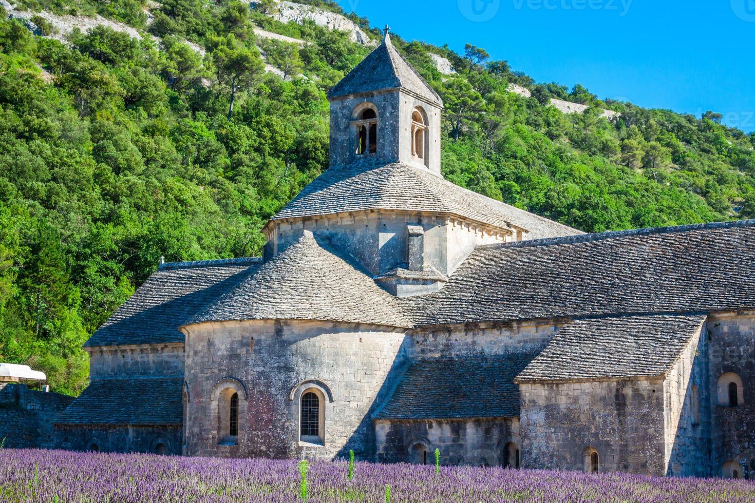 lavendel in voorkant van de abdij de senanque in provence foto